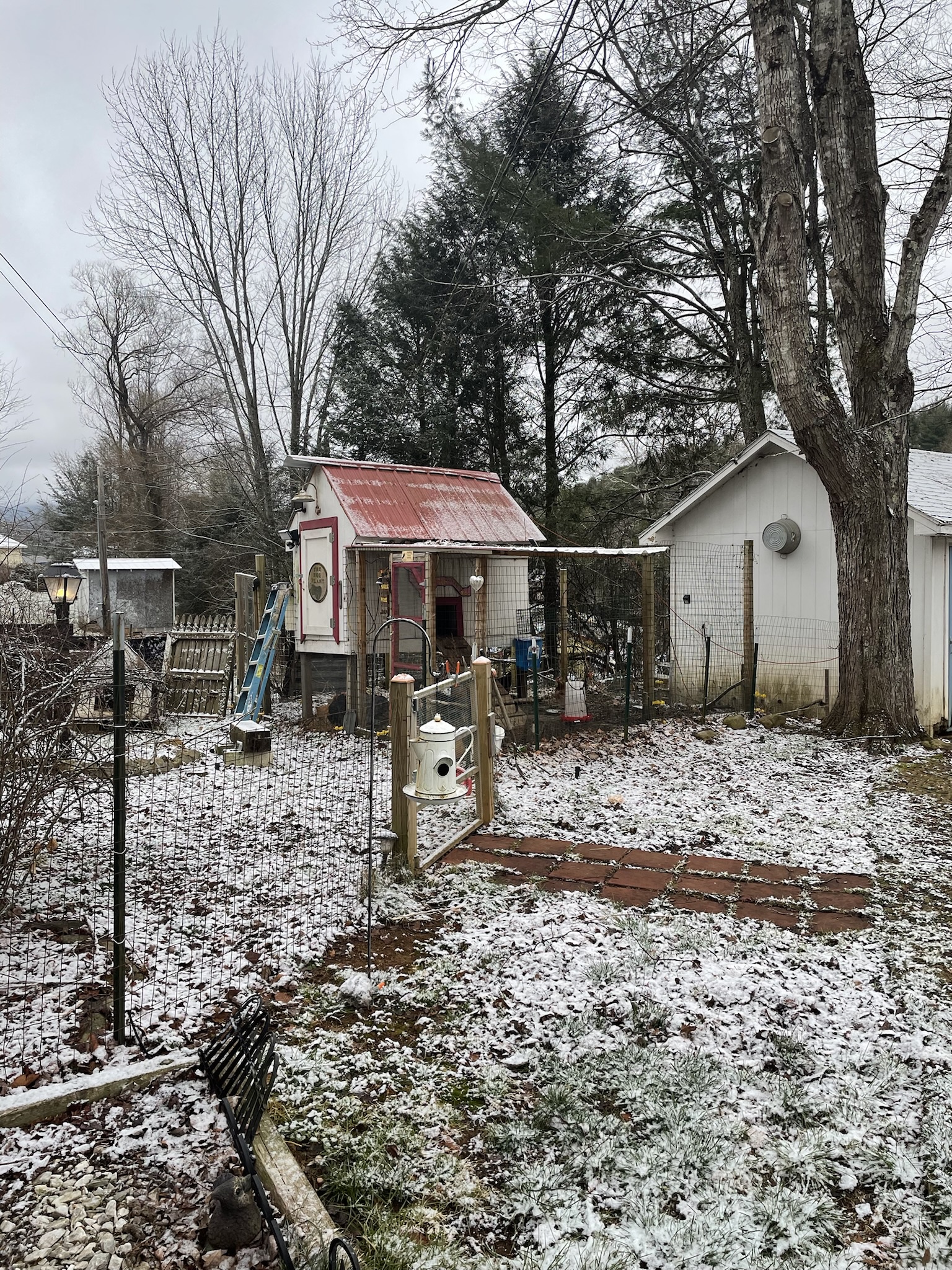 Momma's backyard: A hidden paradise