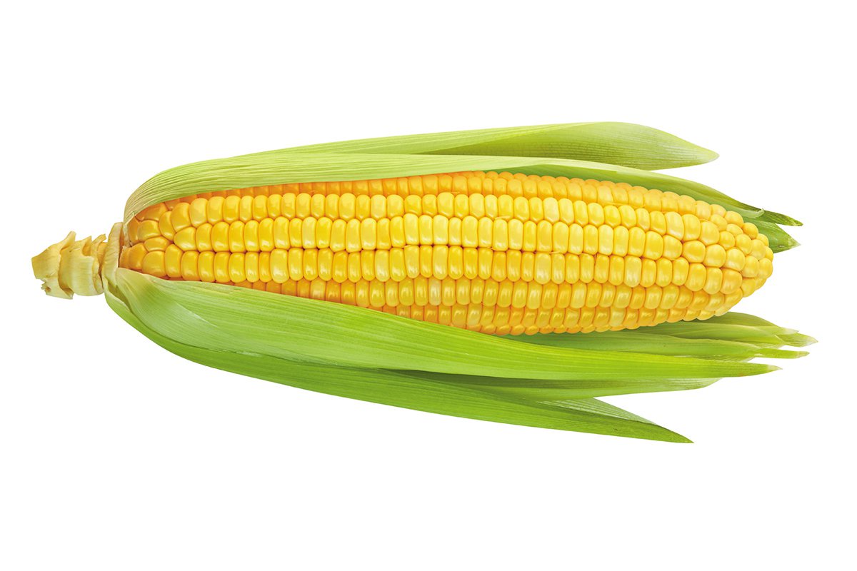 Just a Simple Corn.