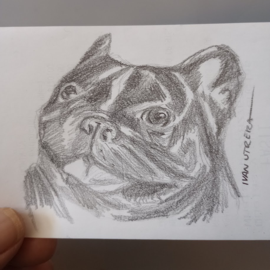 The Adorable Doggo Chronicles