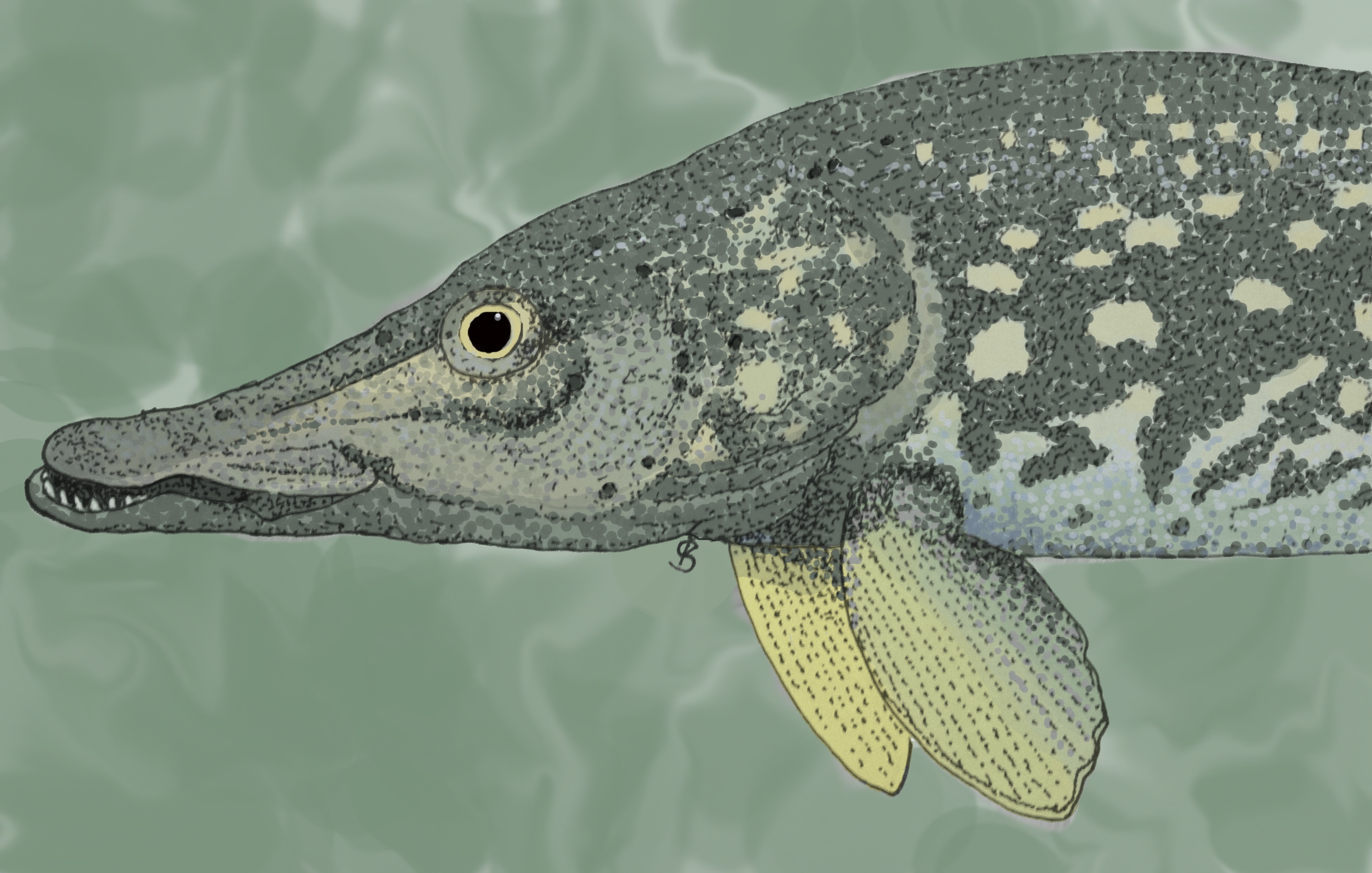 My Northern Pike Artwork for the BlueSky Weekly Art Competition (Original Creation)
