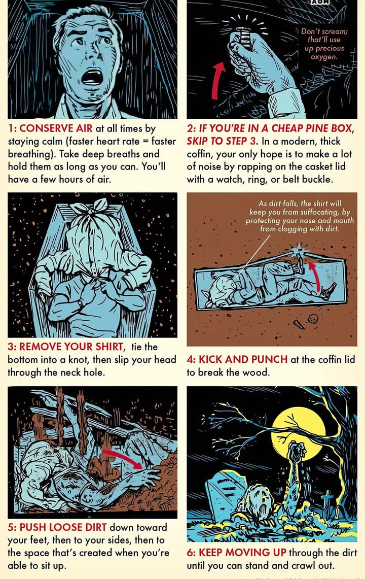 Echoes in Your Head: The Catchy Tune That Sticks