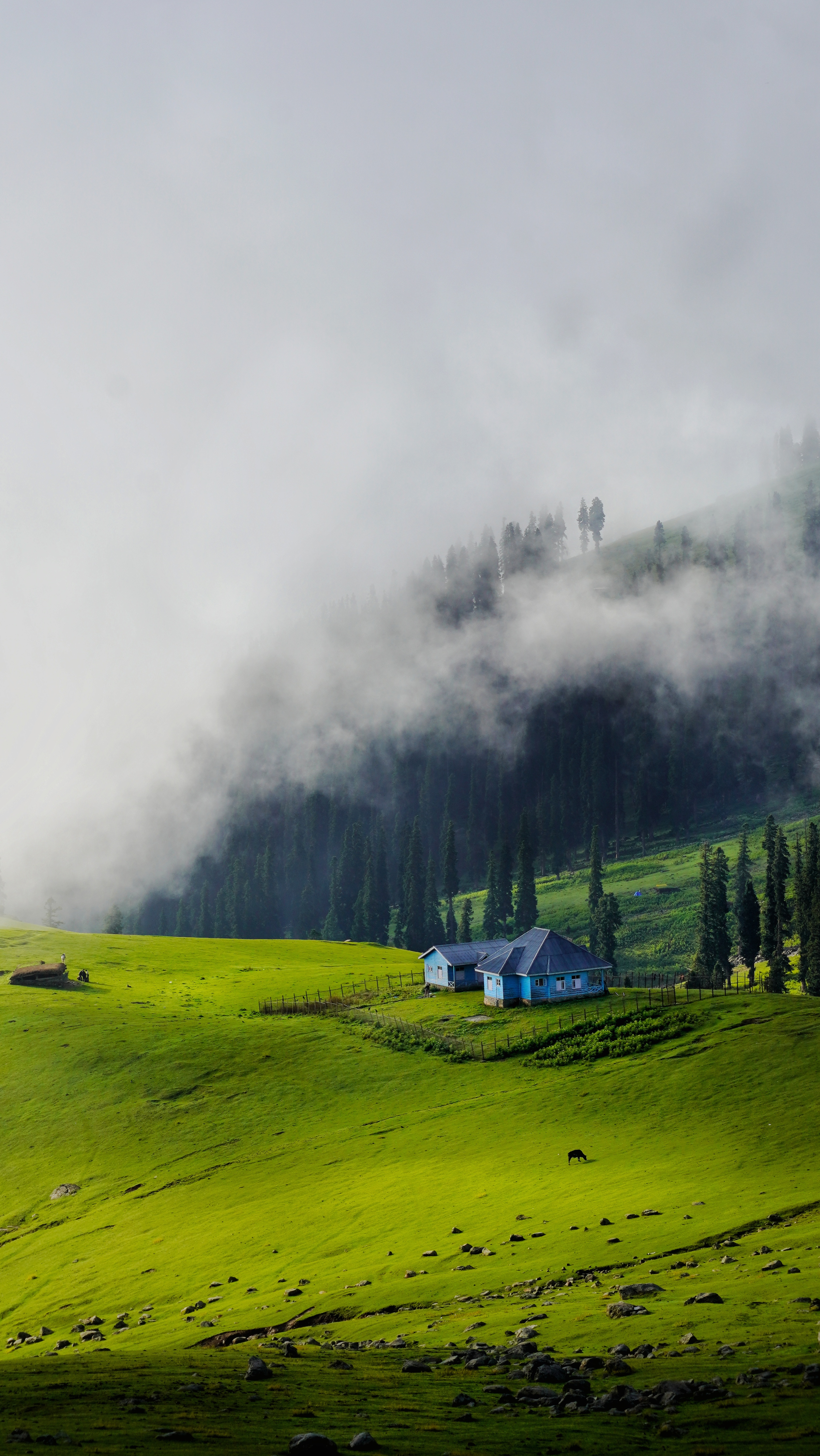 A Glimpse into Kashmir: The House That Tells a Story