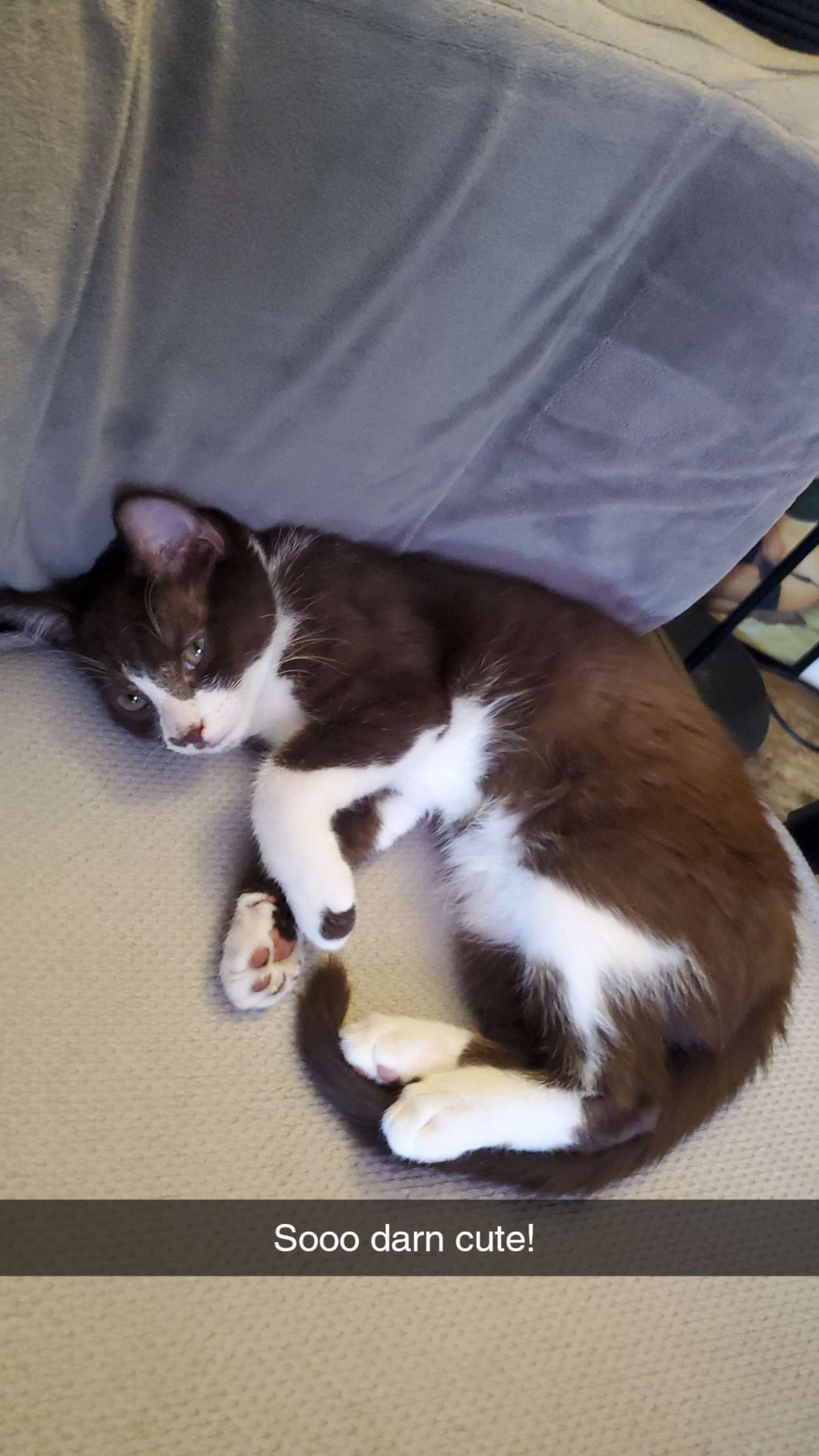 My precious baby boy