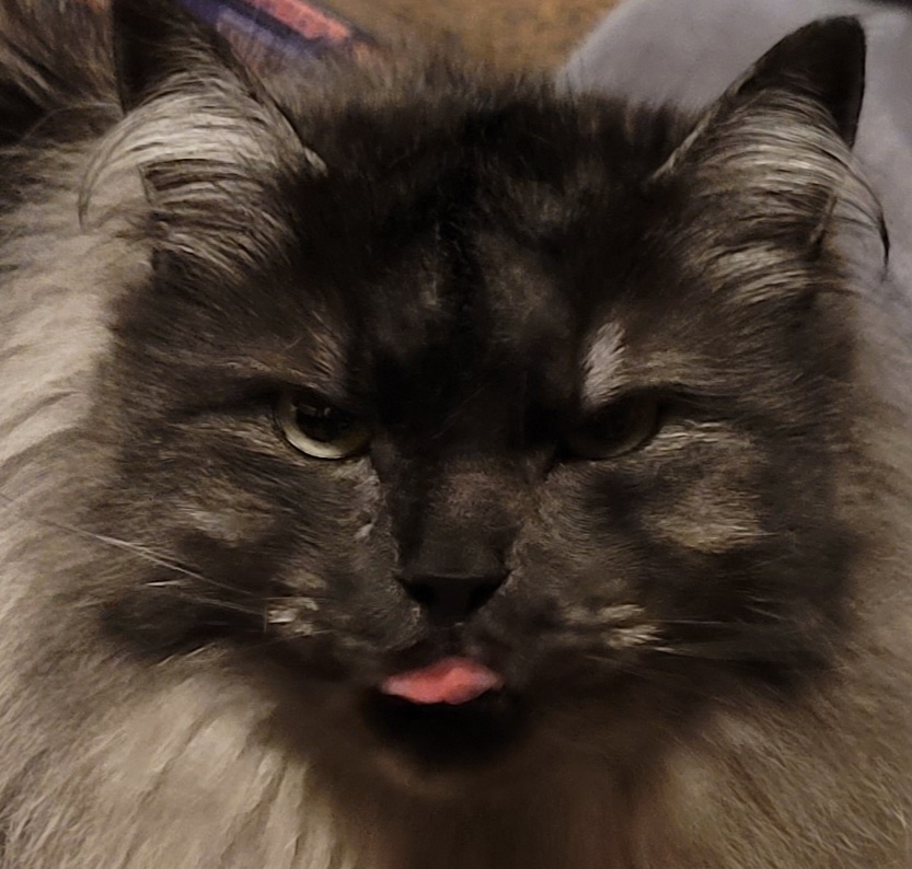 The Mischievous Evil Blep