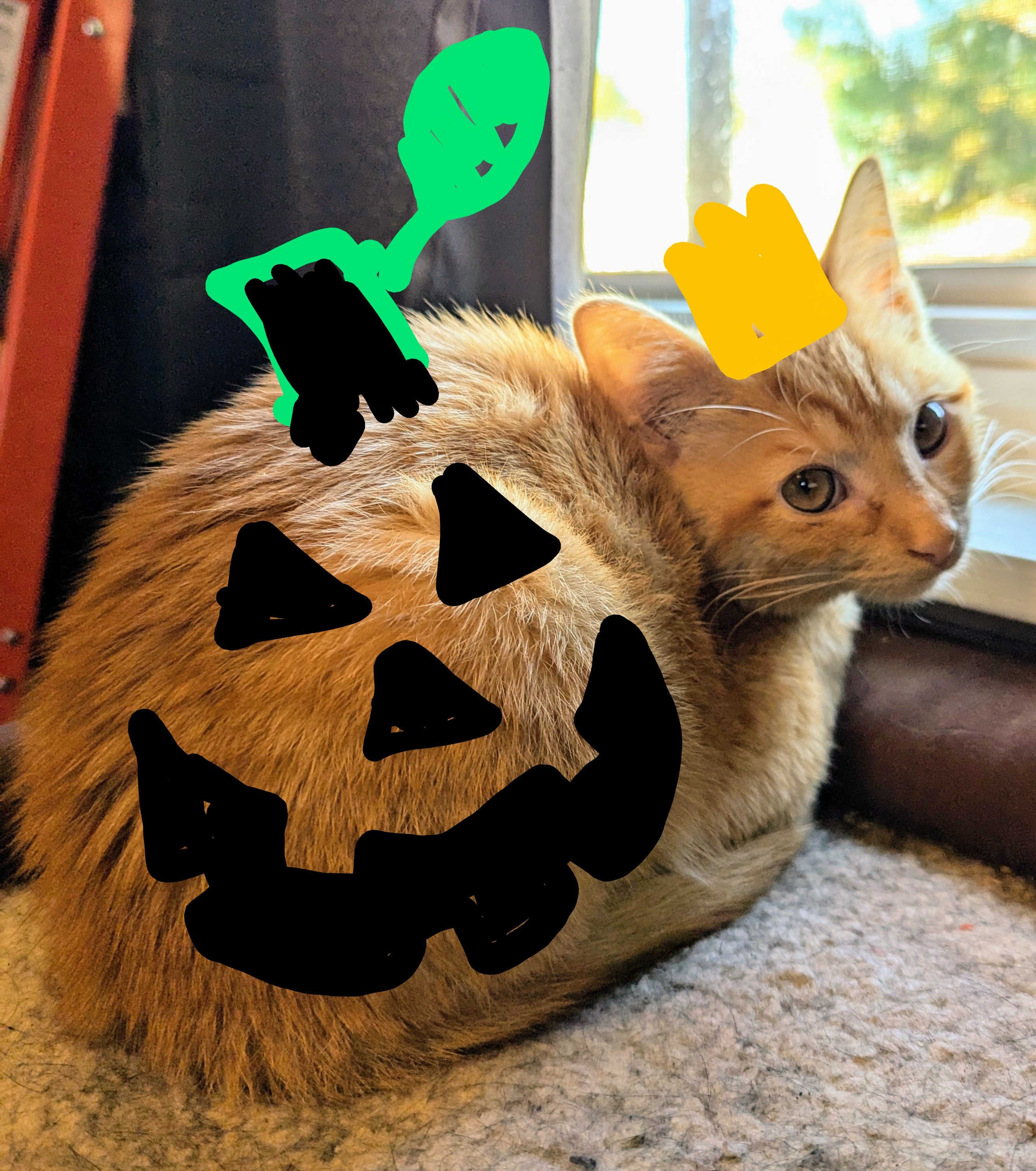A little late for Halloween, but here’s my RHM!