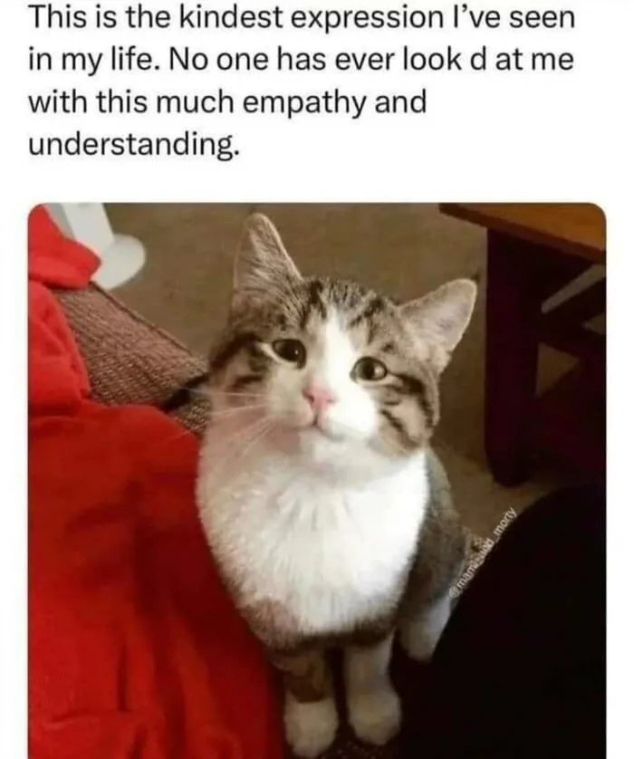 That Expression Says It All!