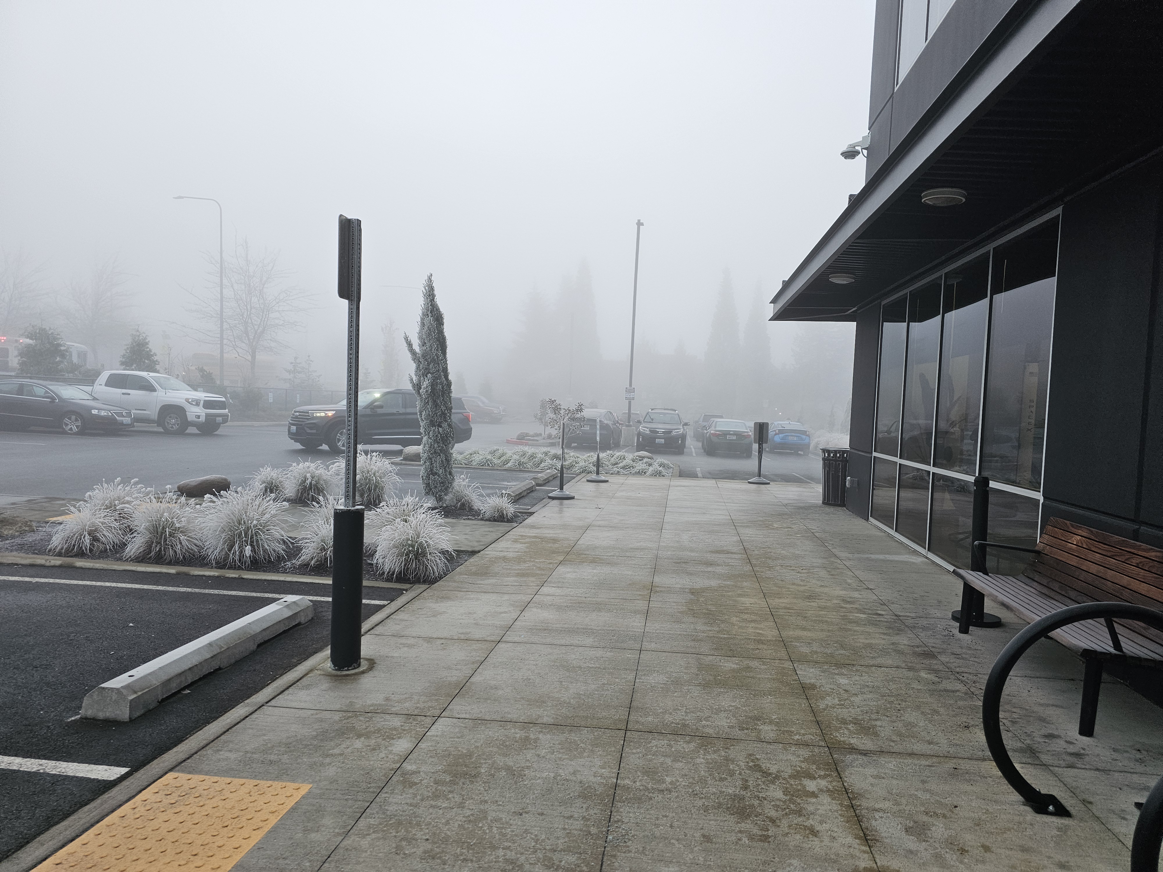 Chilly Morning Vibes: Embracing the Frosty December Fog