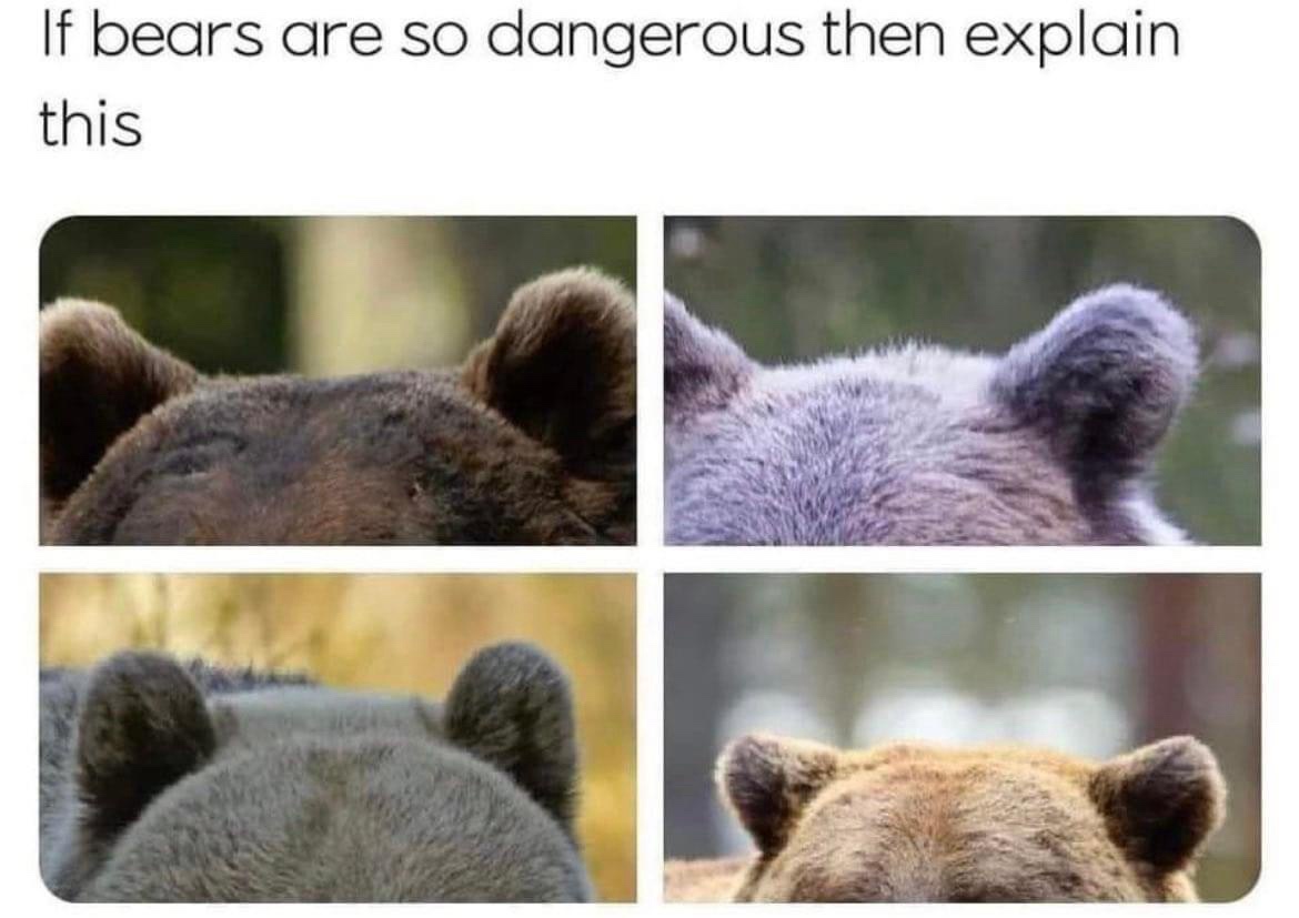 Here's a quick meme dump for your enjoyment, part 1!