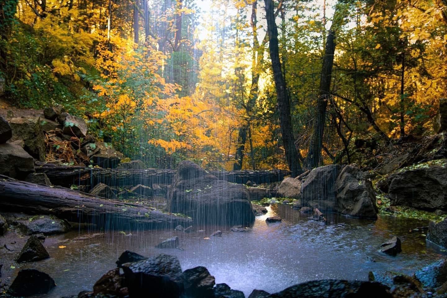 Autumn Colors Cascading Through the Falls
