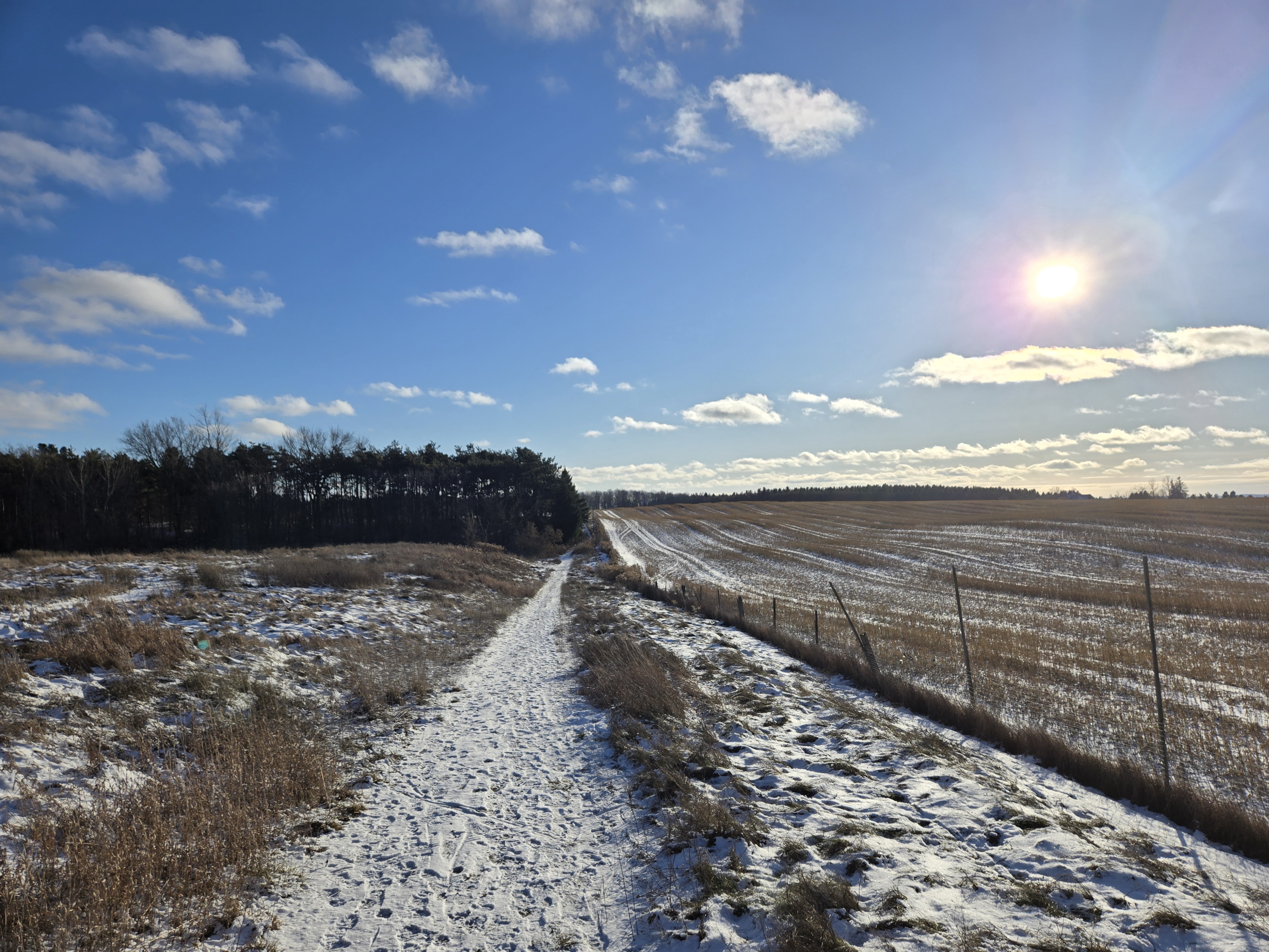 Will December 21 Bring Us a Magical White Christmas?