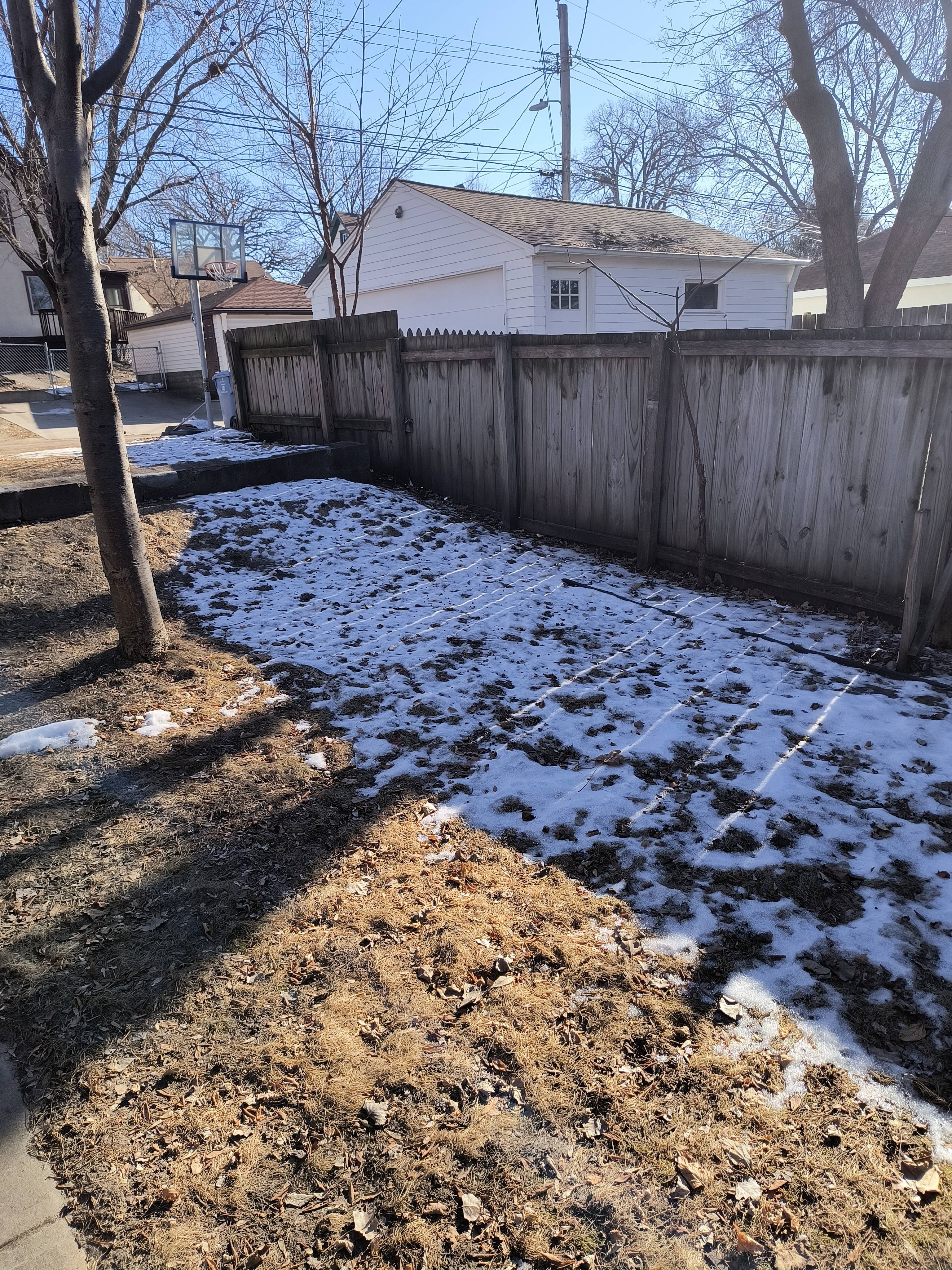 My Neighbor's Fence Creates a Snow-Free Zone: Nature's Oddity