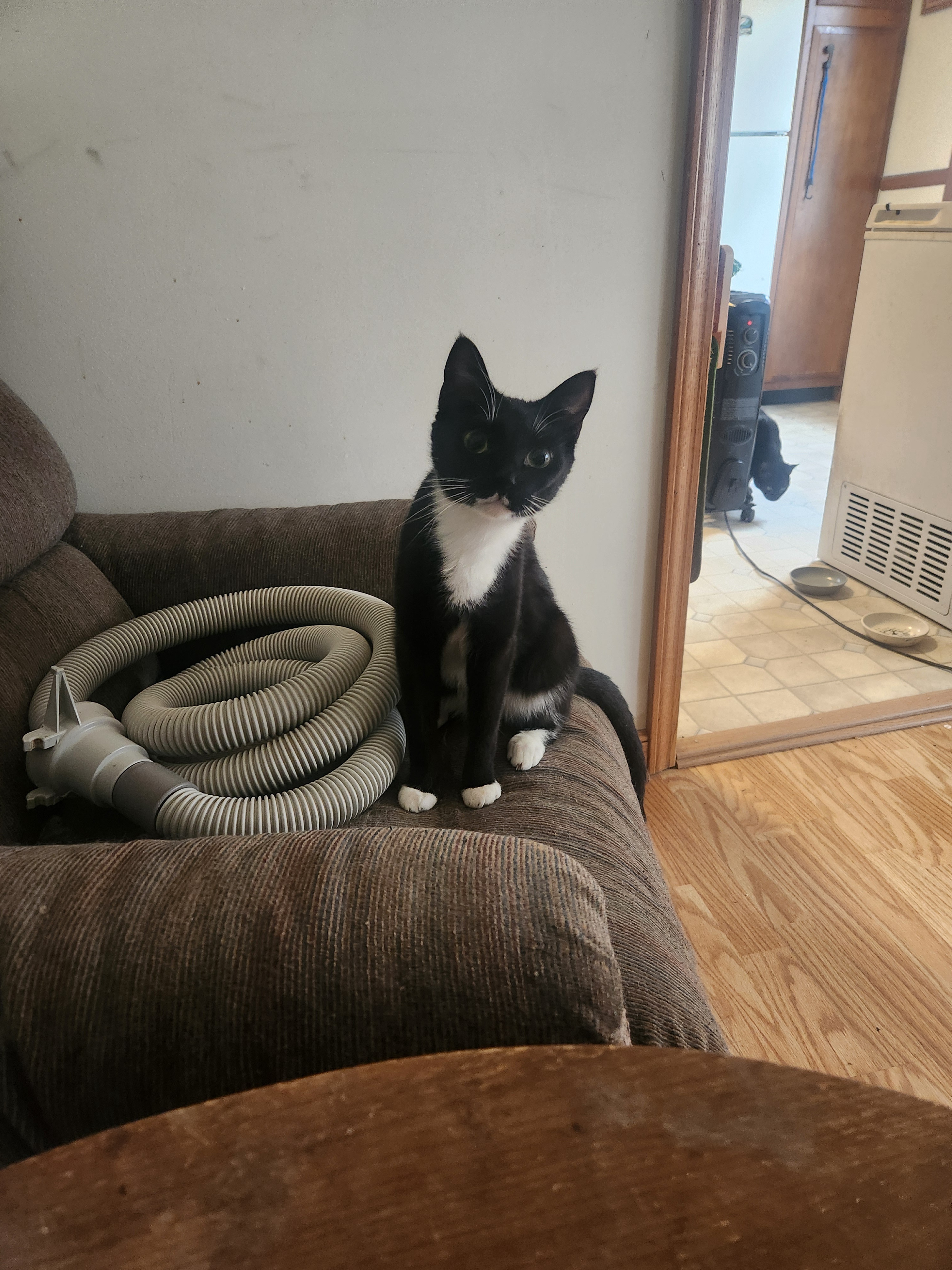 Lilly's Back and Settled In!