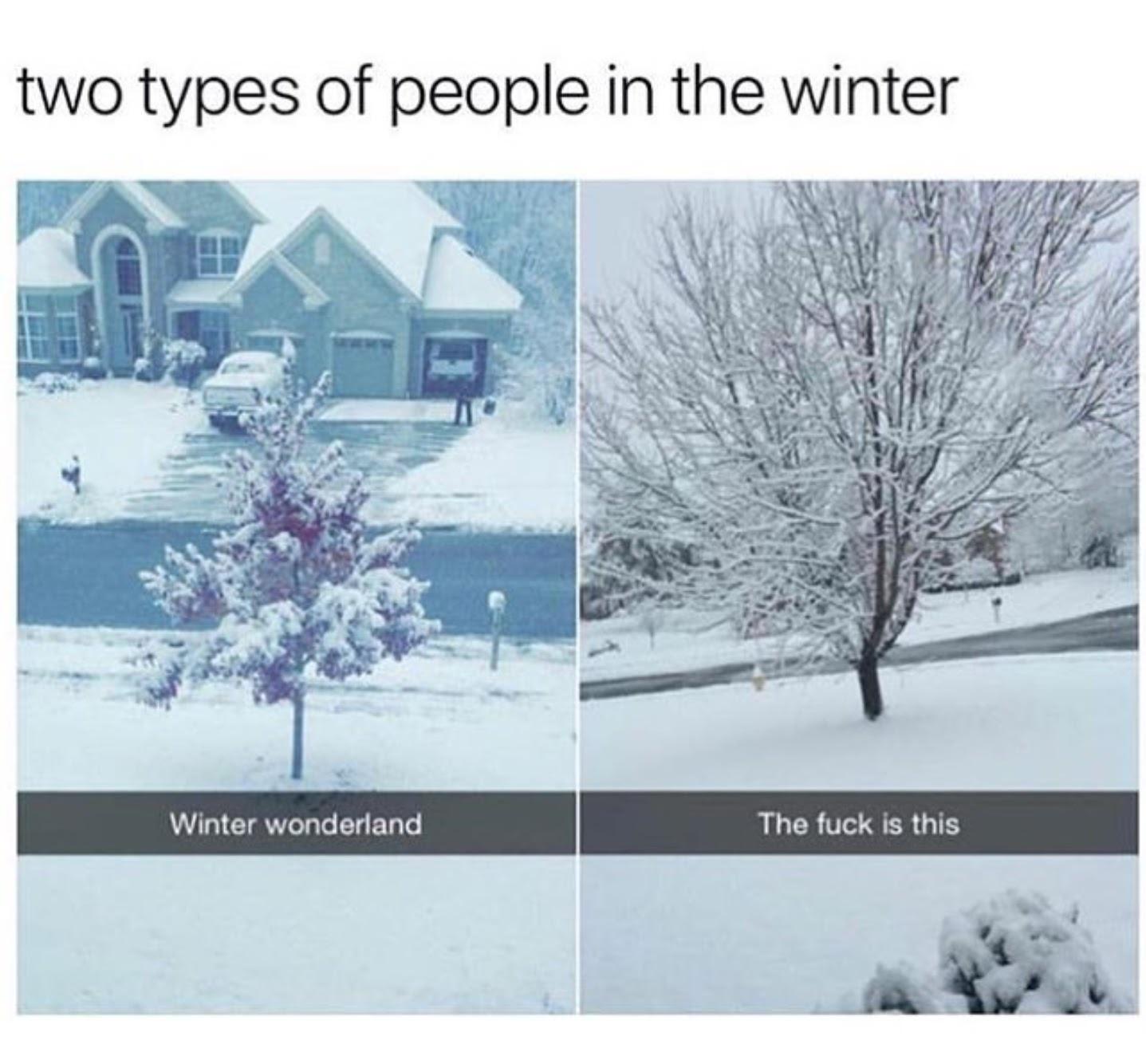 Snow: The Magical Mood Booster for Everyone!