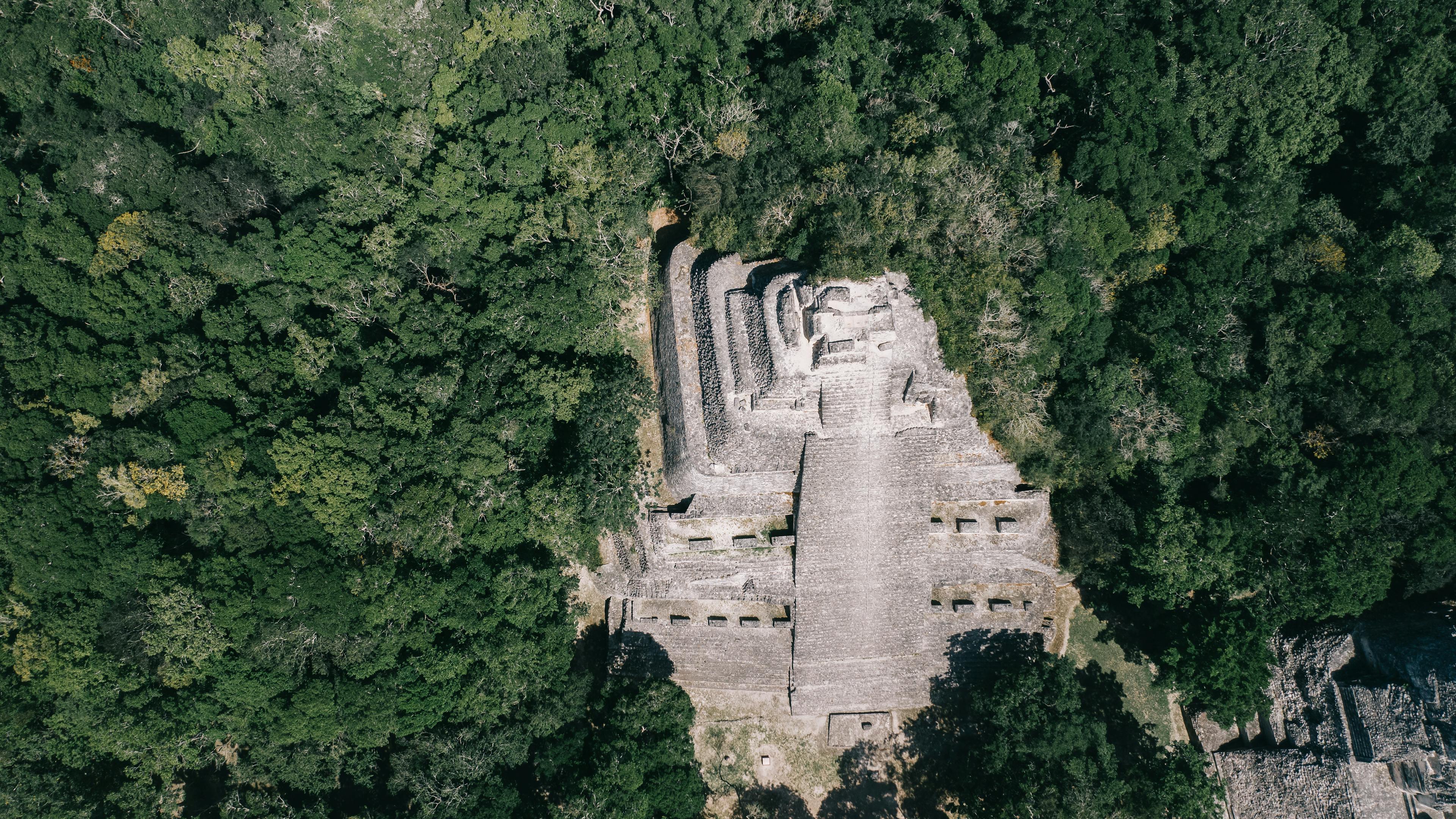 Ancient ruins beautifully nestled in vibrant greenery