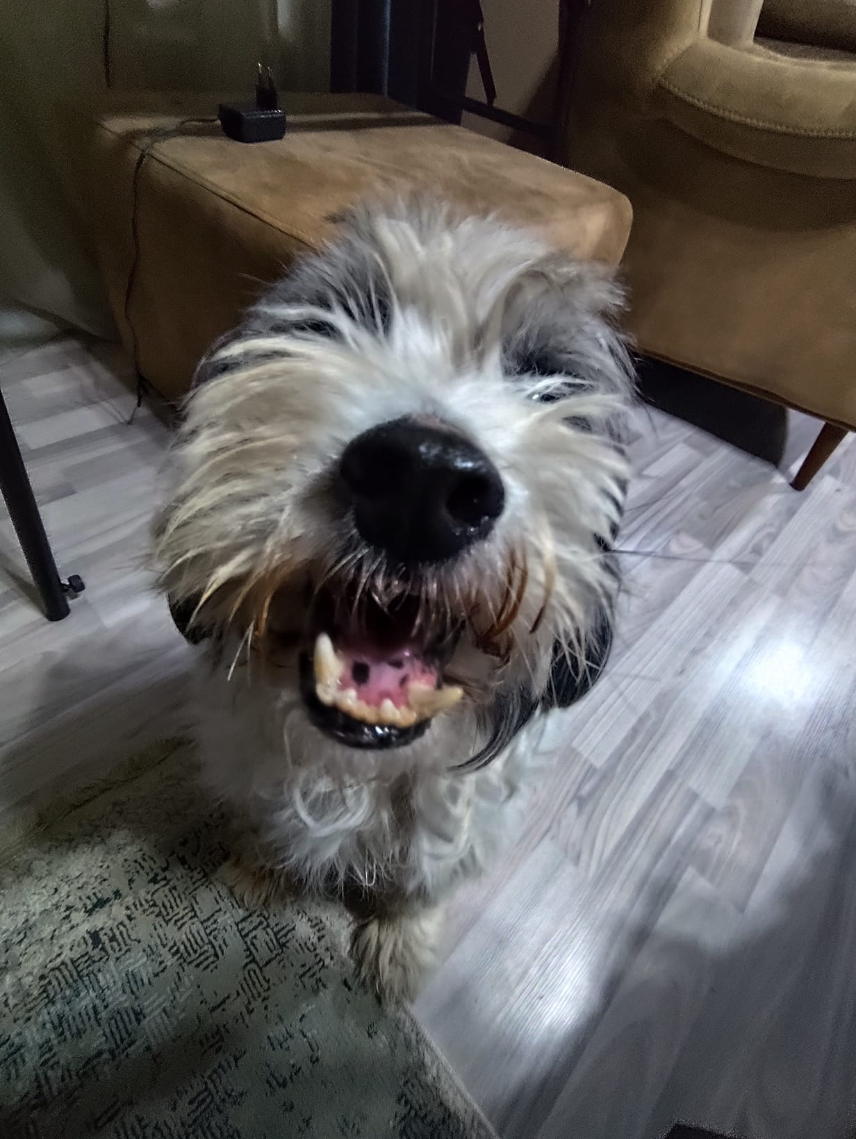 My buddy in crime