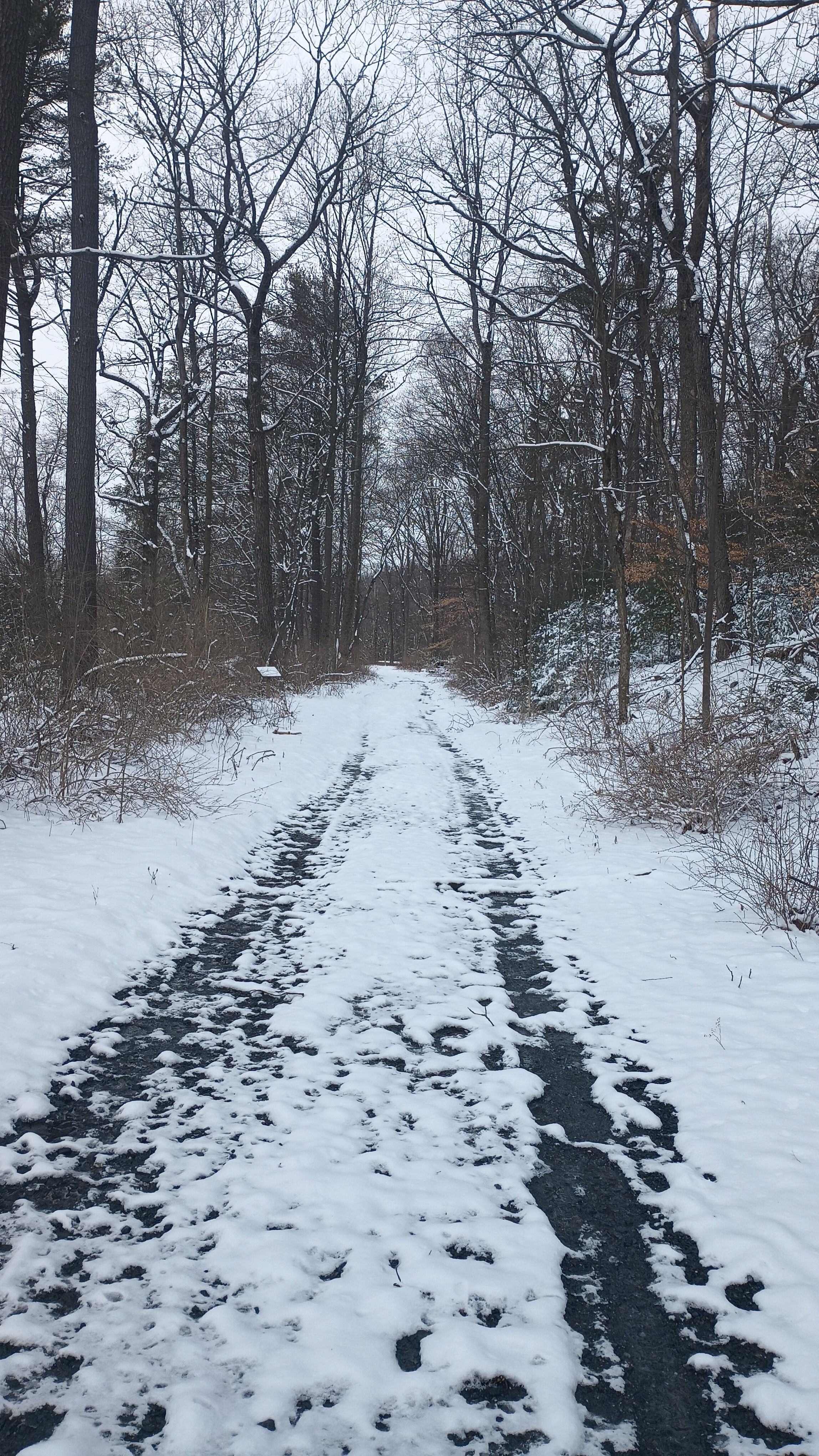 The Beauty of Snow-Capped Mountains in Southern PA, 2024