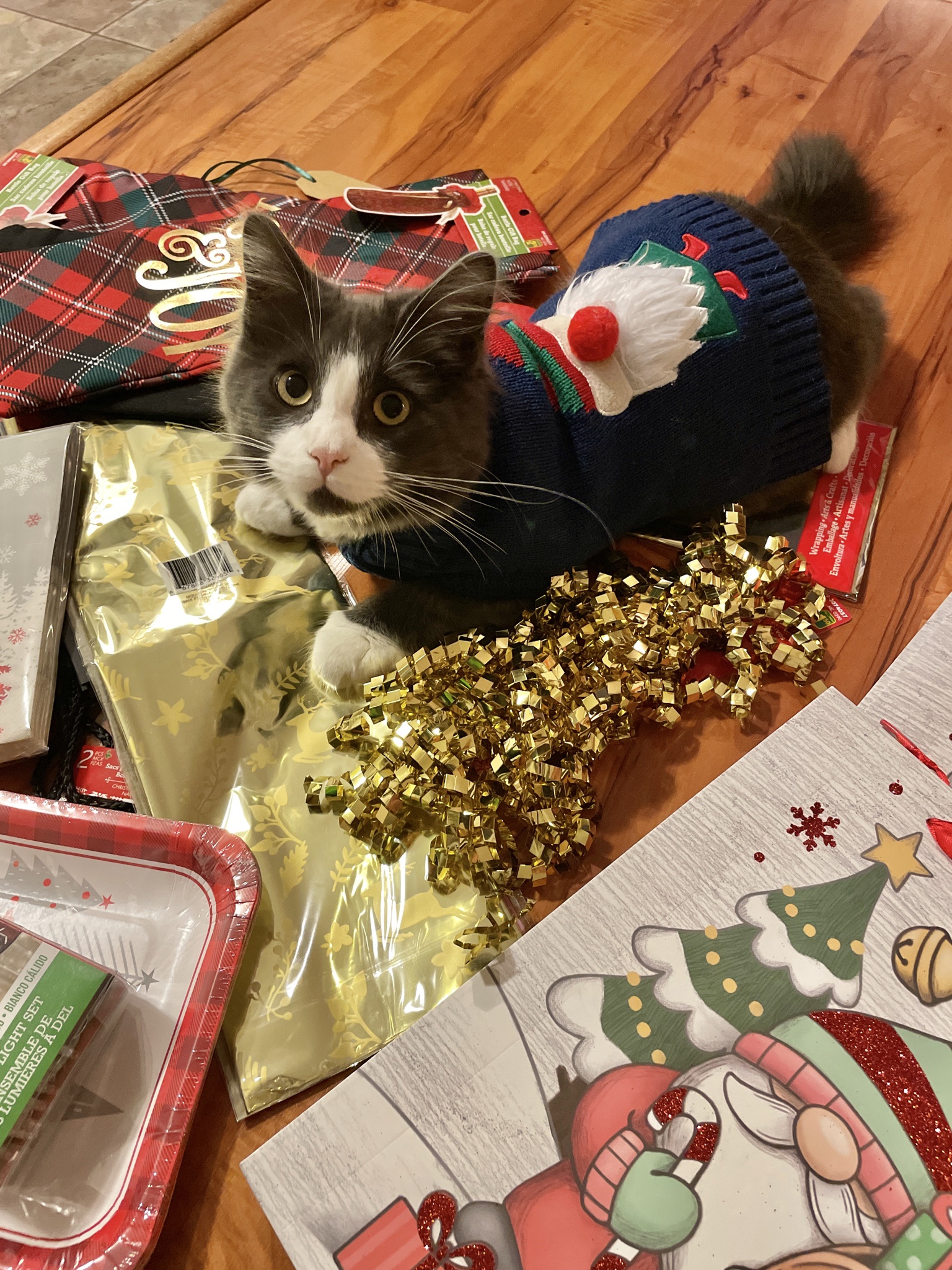 Ralph's Magical First Christmas Celebration
