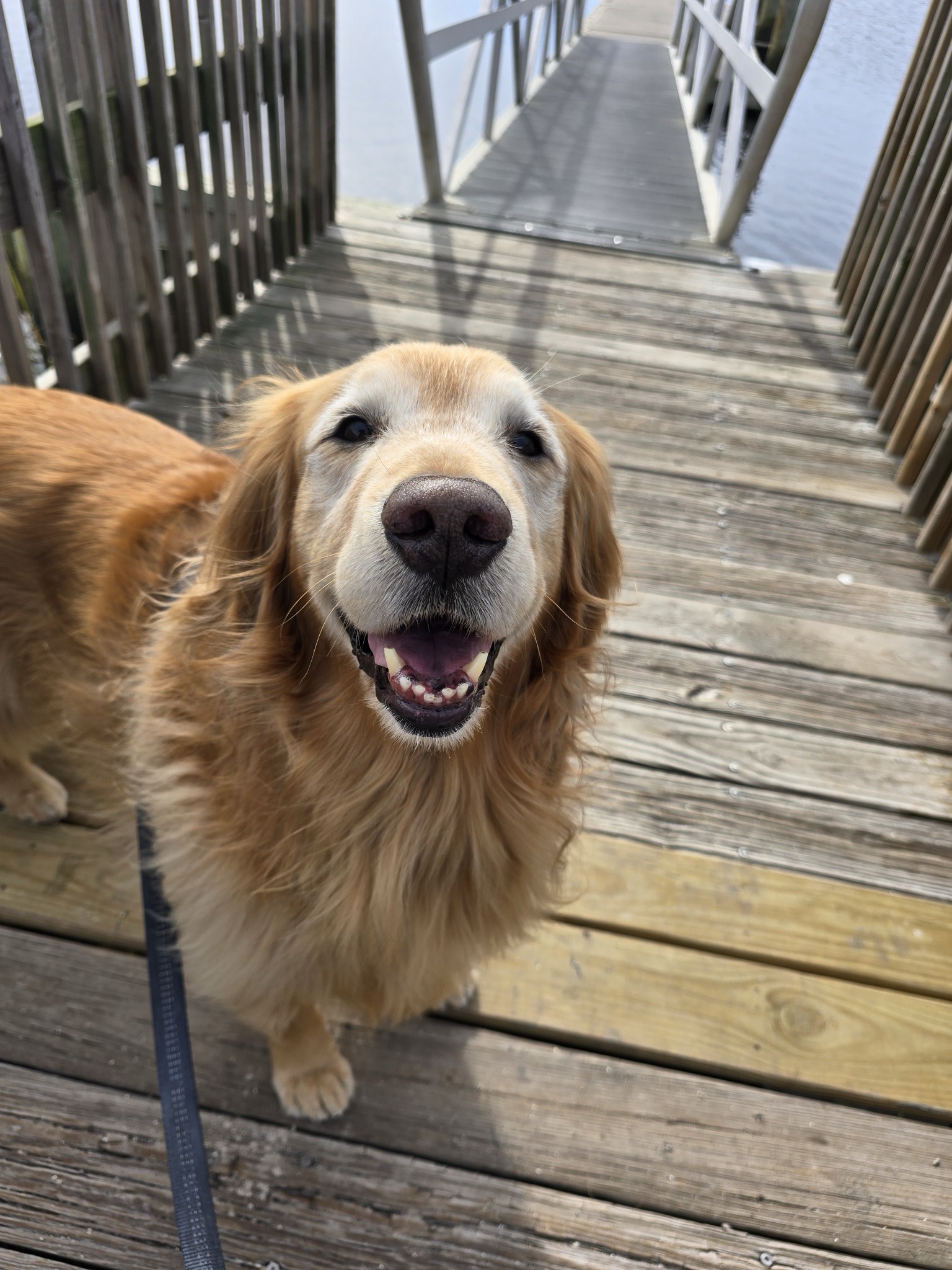 Enjoying a Refreshing Stroll to the Park