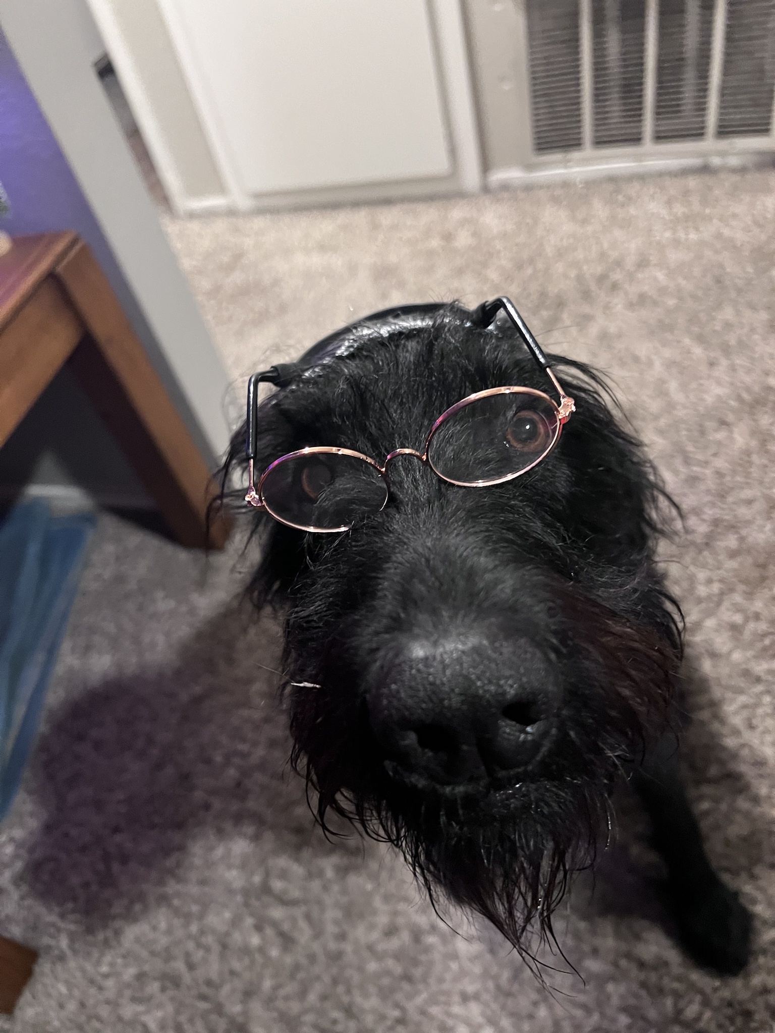 Wishing You a Spooktacular Halloween from This Charming Old Lady