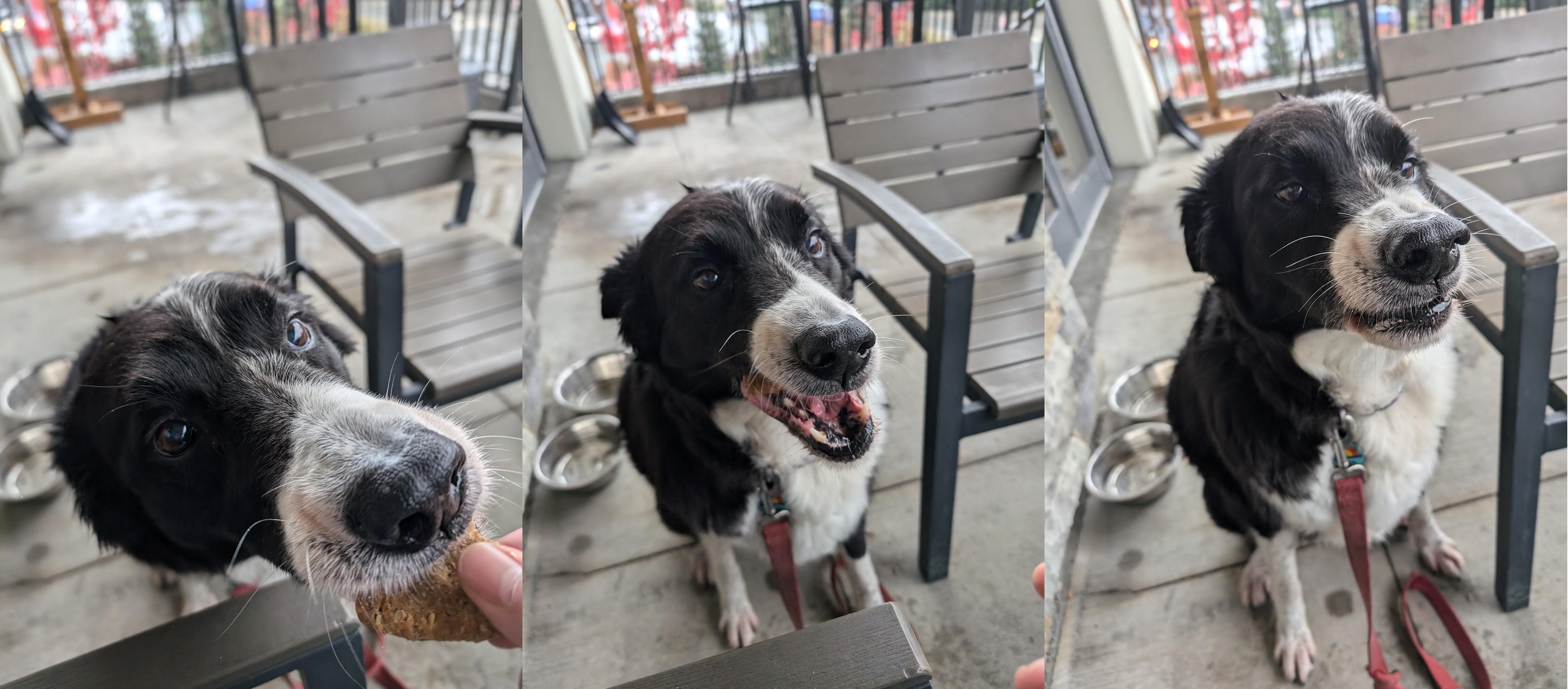 The Three Hilarious Stages of Enjoying a Delicious Treat
