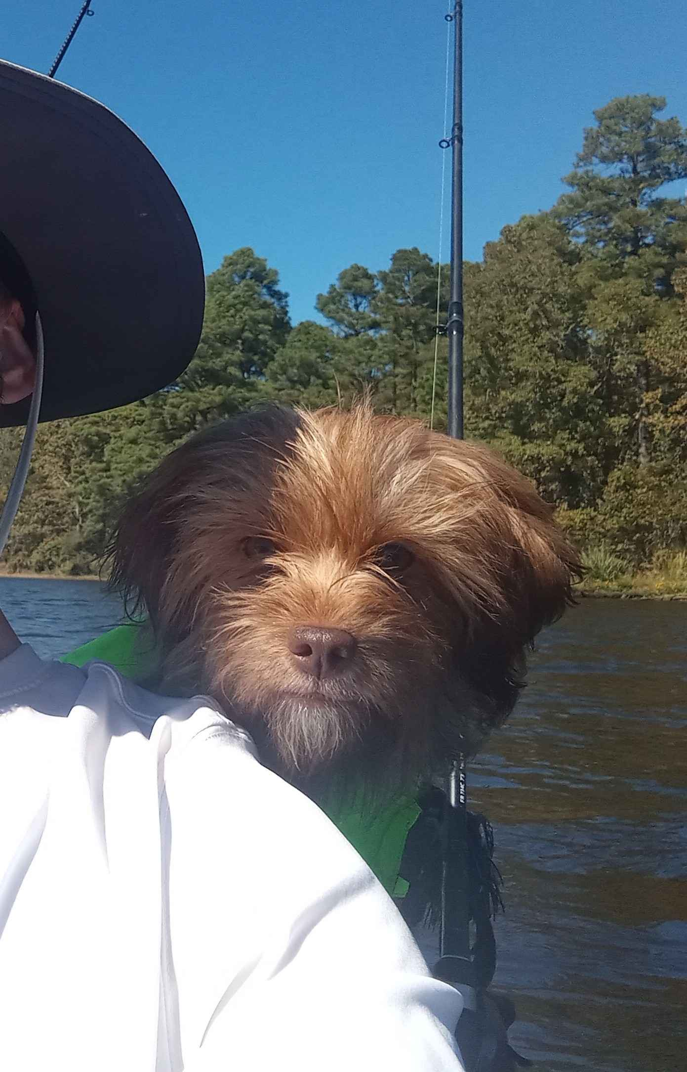 My Dog's Favorite Adventure: Fishing Days Together