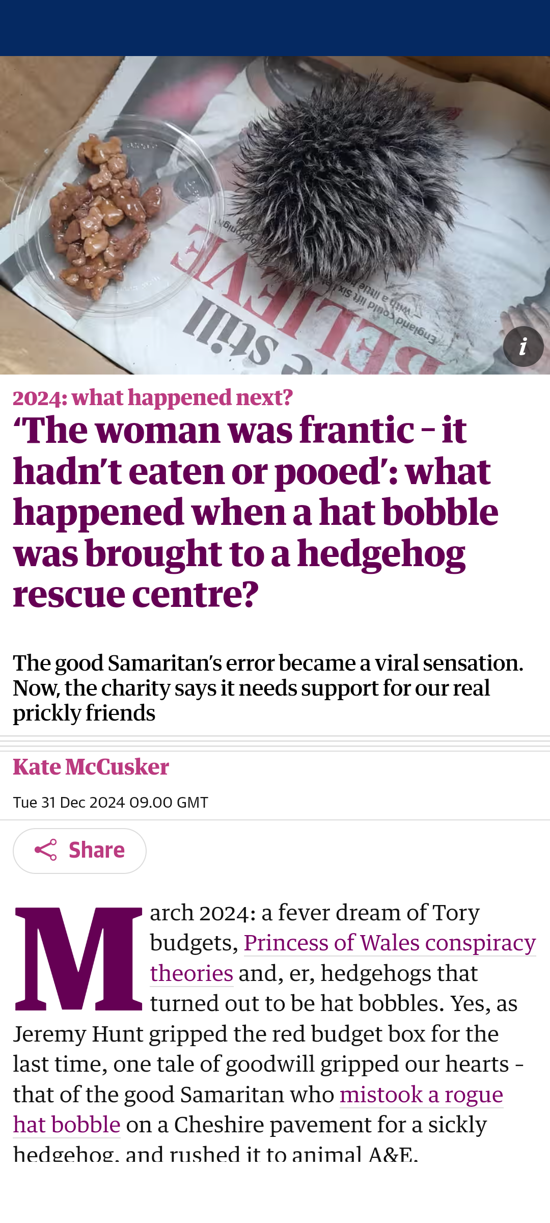 Please Save My Hedgehog... Oh, Never Mind
