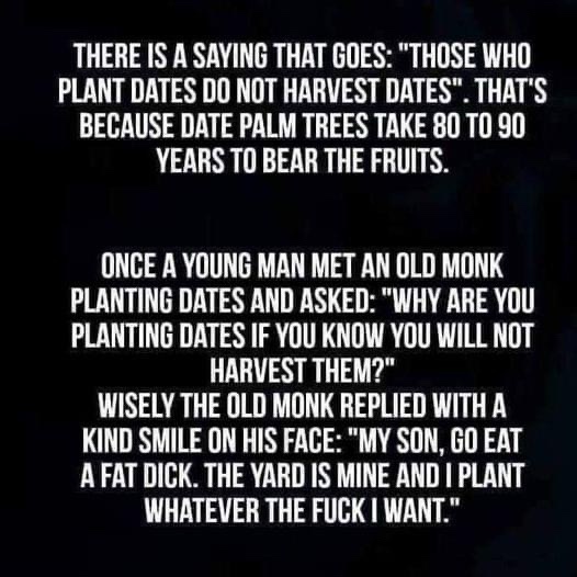A Moment of Profound Wisdom