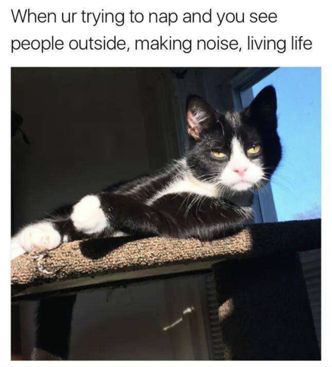 A Random Collection of Memes: Volume 282