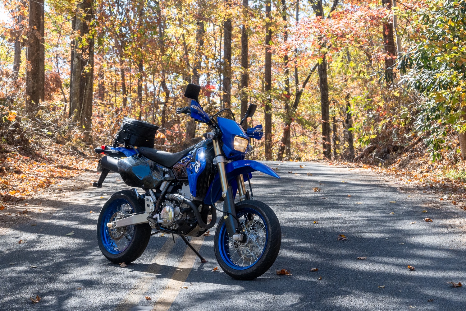 Prepare to Be Amazed by Carolina's Stunning Roads