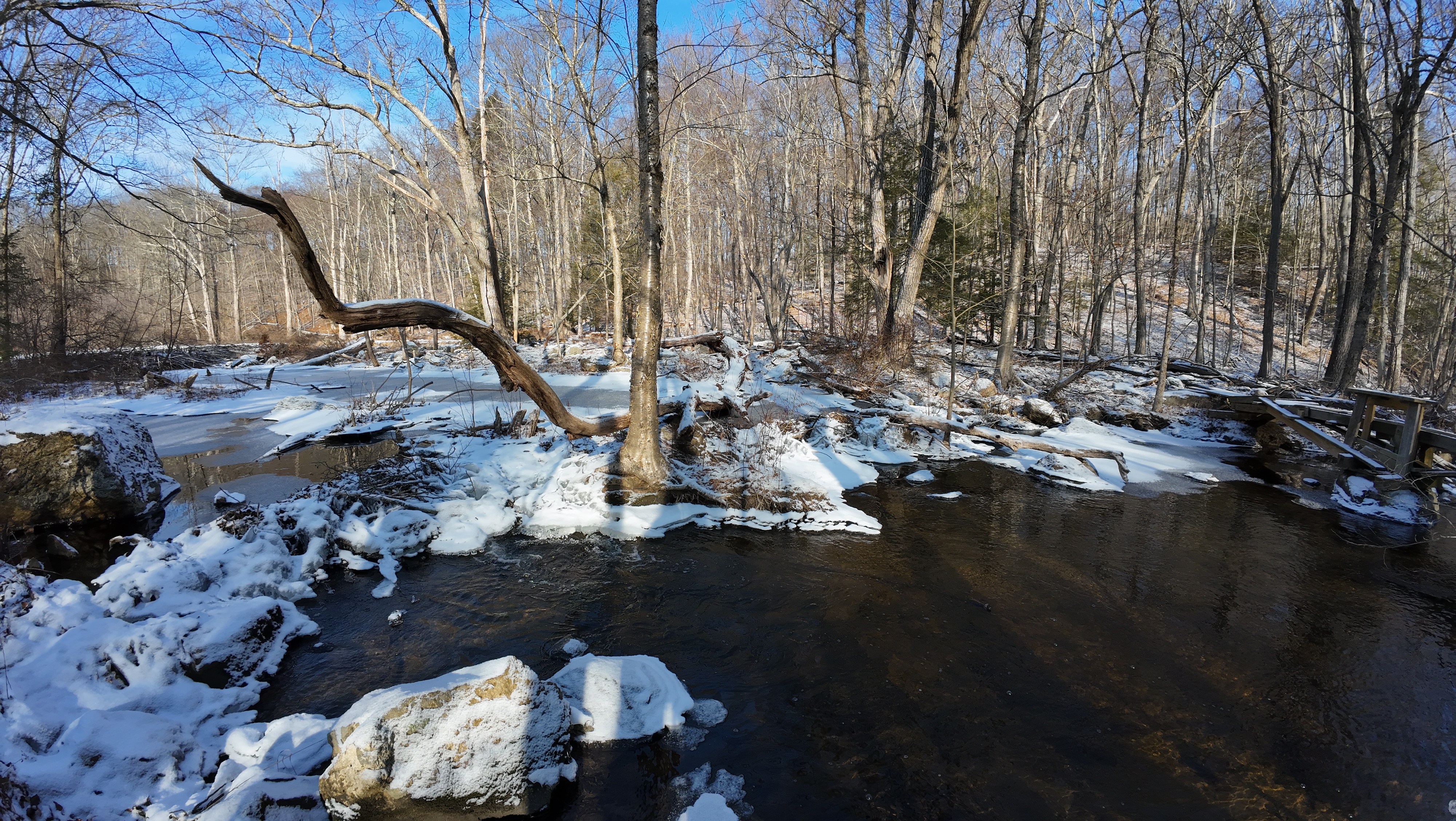 A Winter Wonderland by the Stream