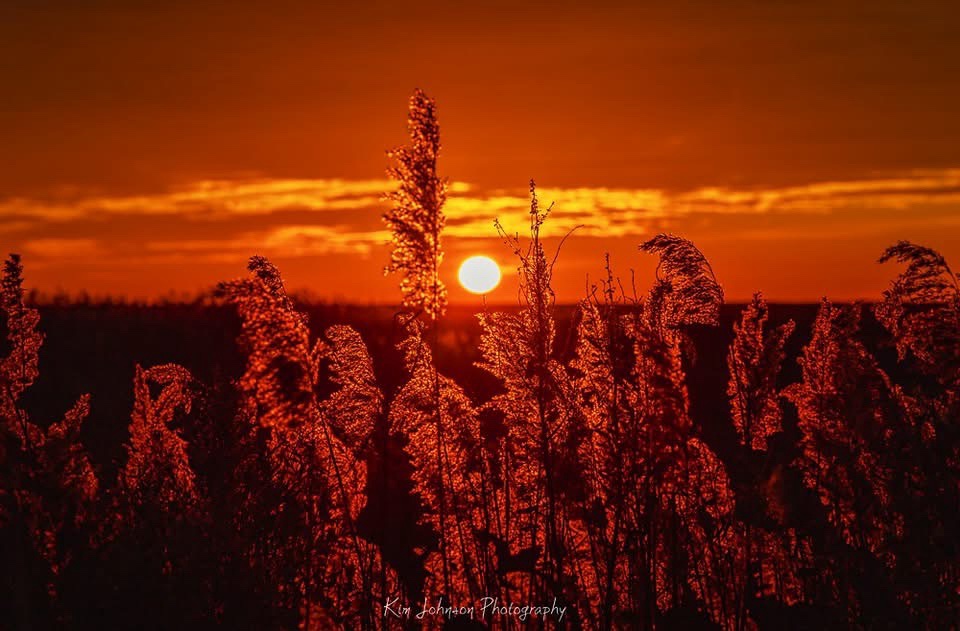 Another Stunning Sunrise to Brighten Our Day
