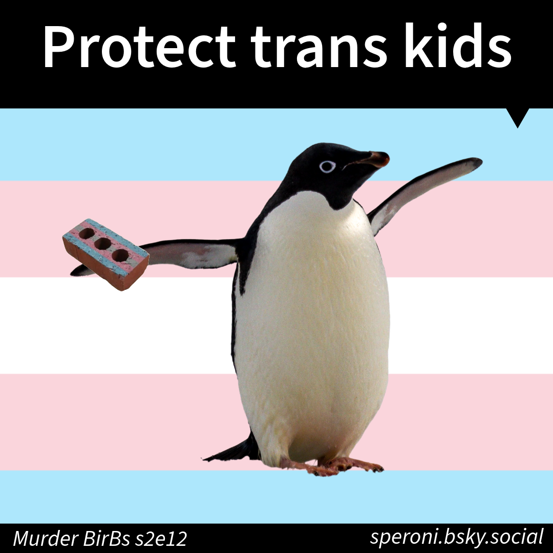 Standing Up for Trans Kids: A Call to Action