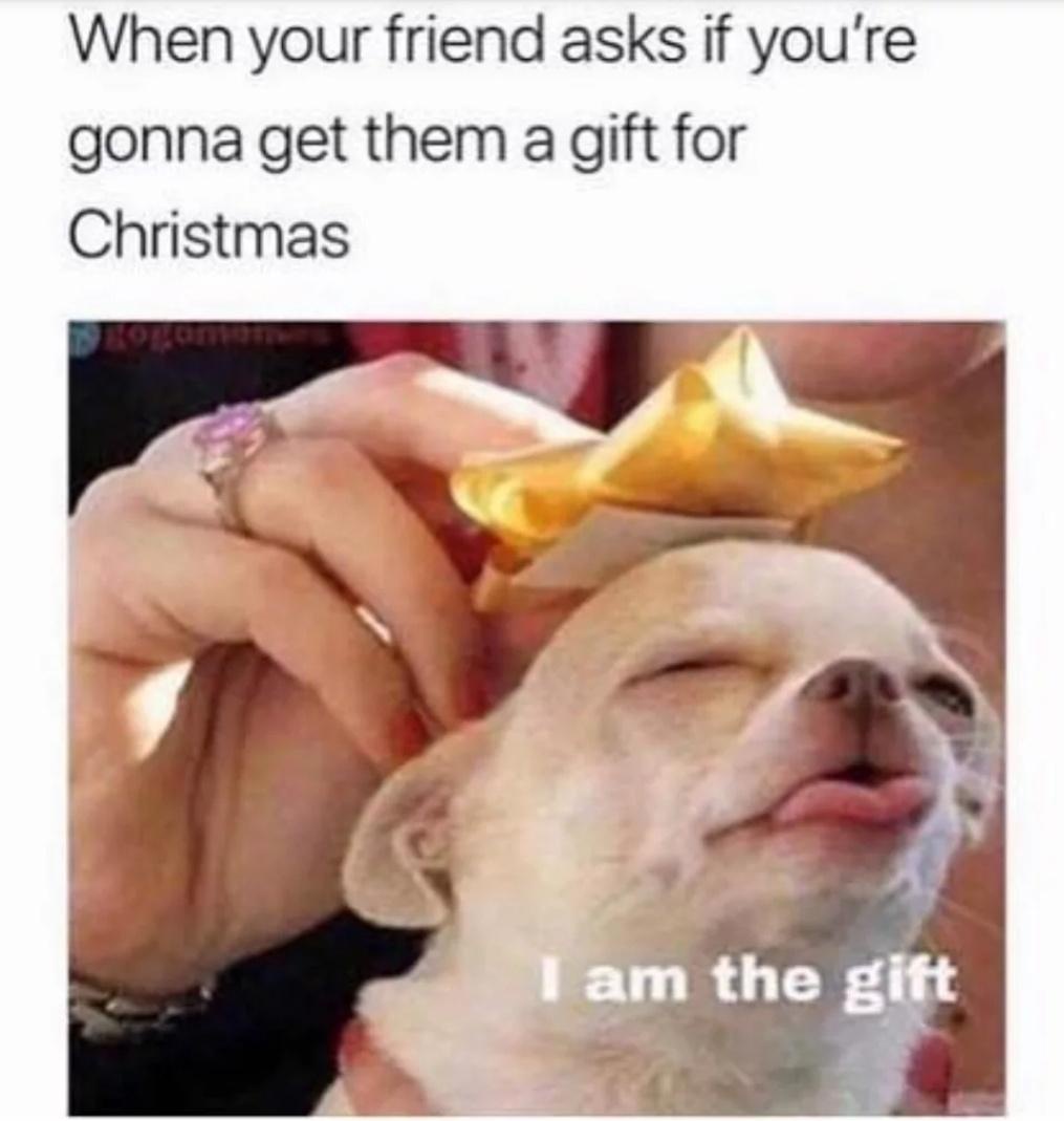 Get ready for a Holly Jolly Christmas surprise!