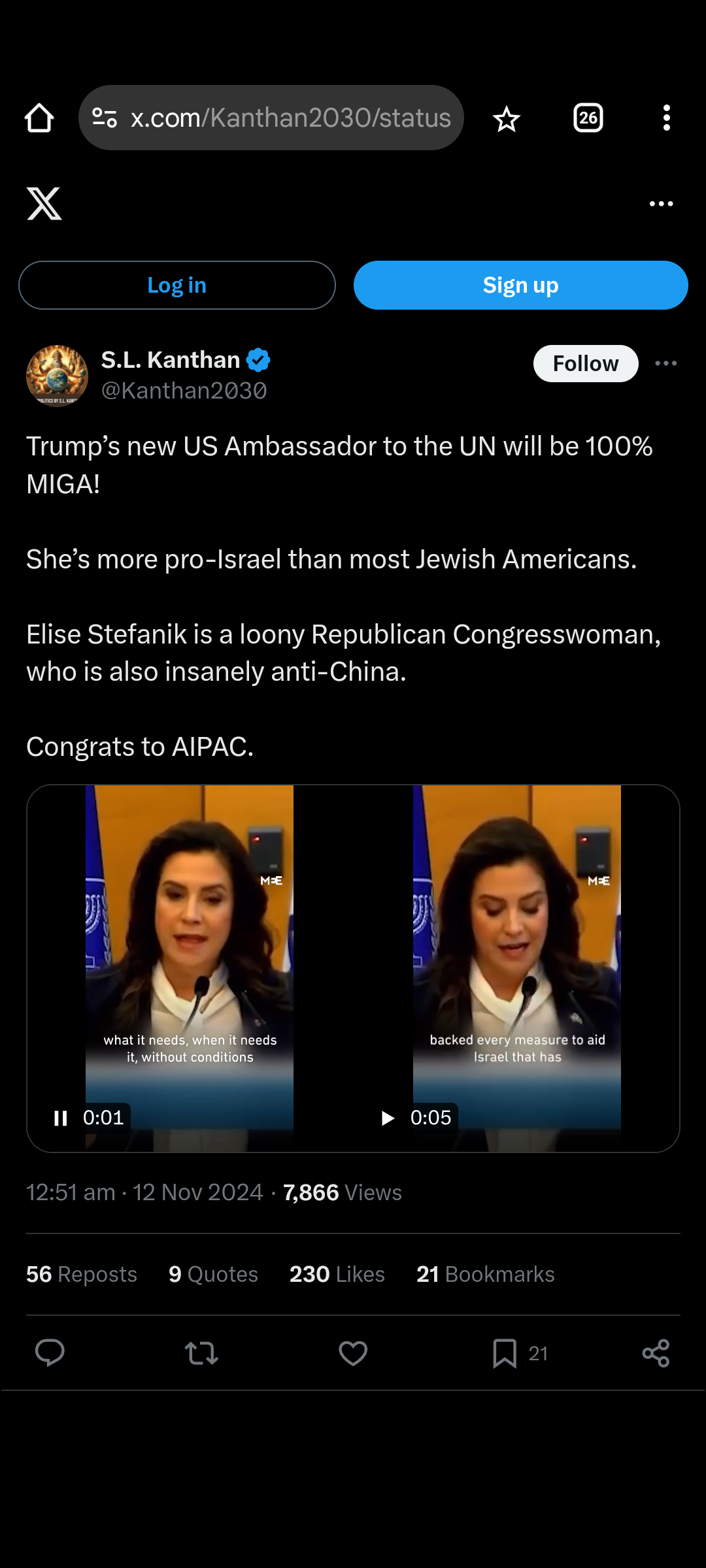 The Charming US Ambassador to the UN