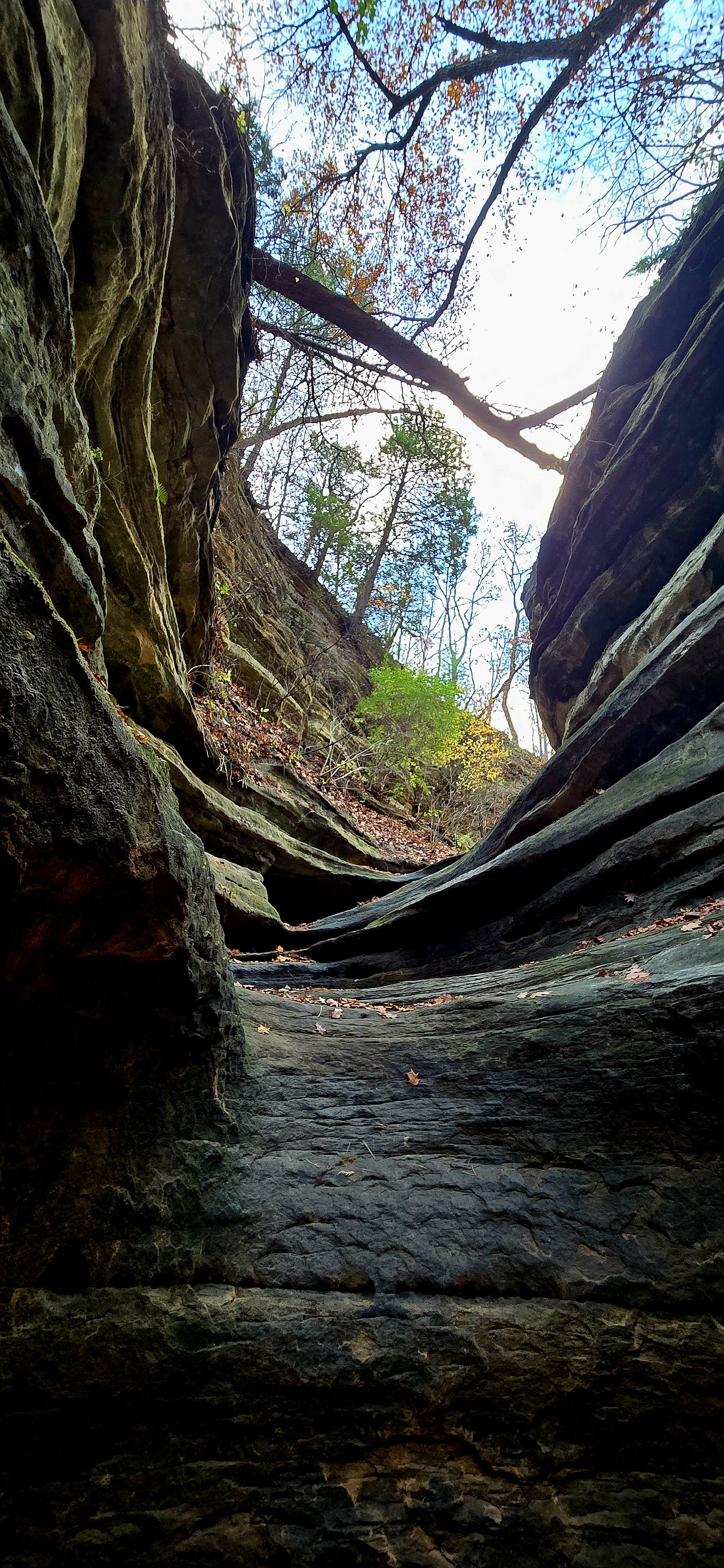 Exploring the beauty of Starved Rock State Park.