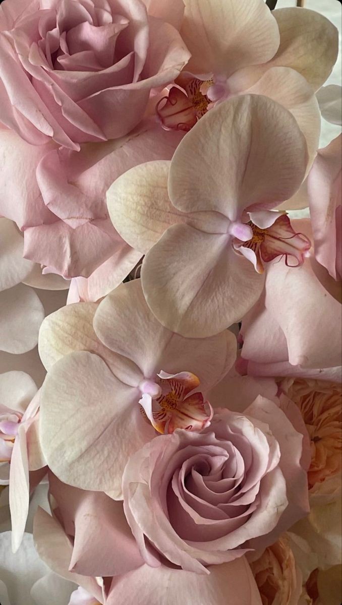A beautiful flower that brightens up the day!