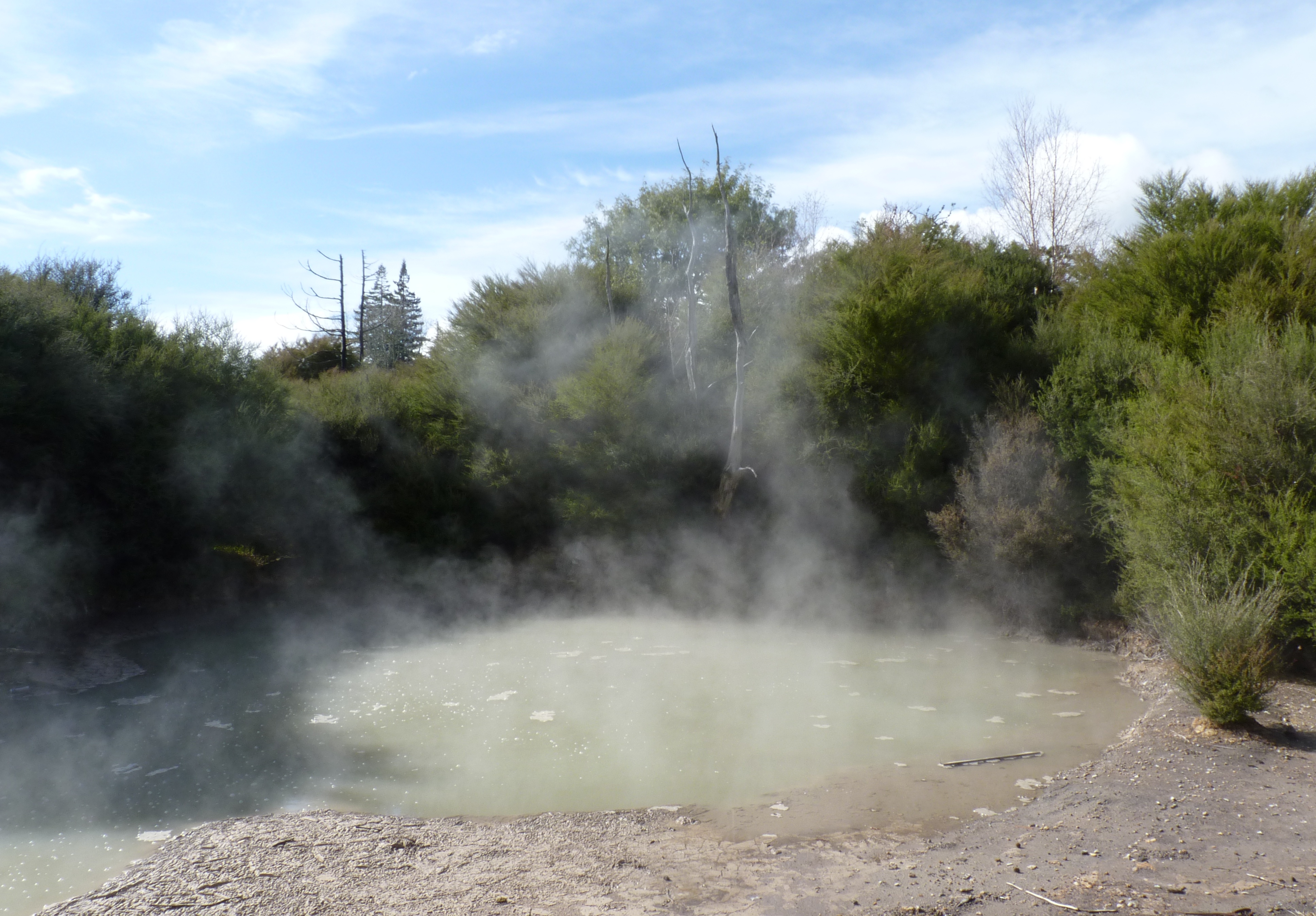 Exploring the wonders of Geothermal Park in New Zealand!