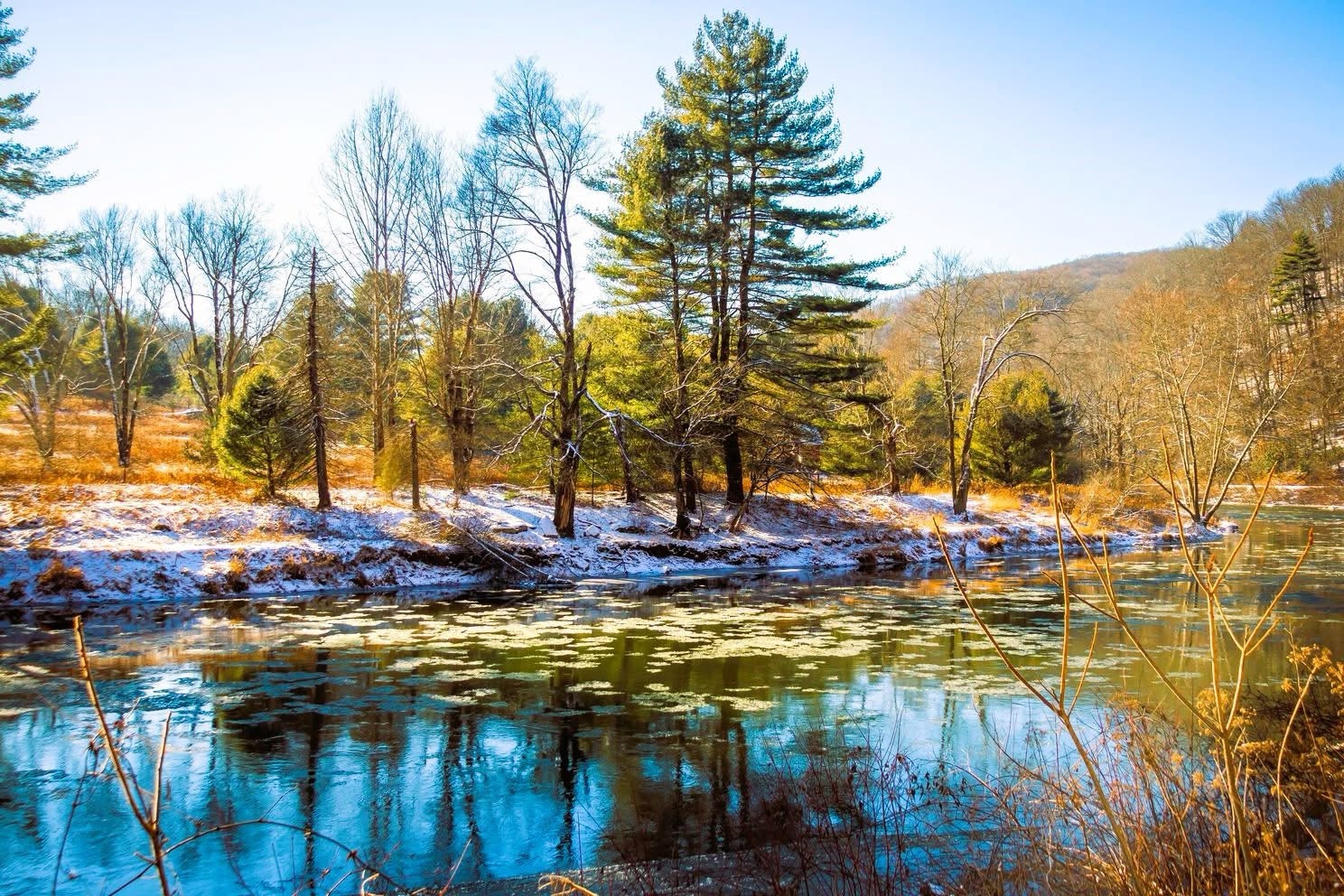 Exploring the Beauty of Clarion River