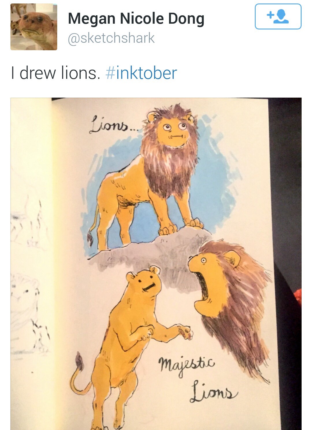 A delightful collection of animal antics for you