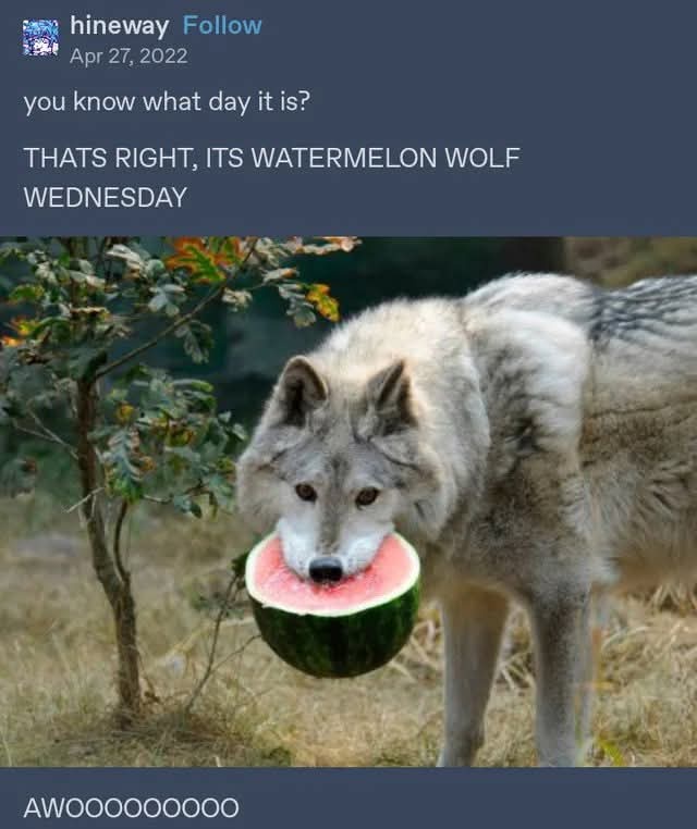 Don't Forget About Moon Moon!