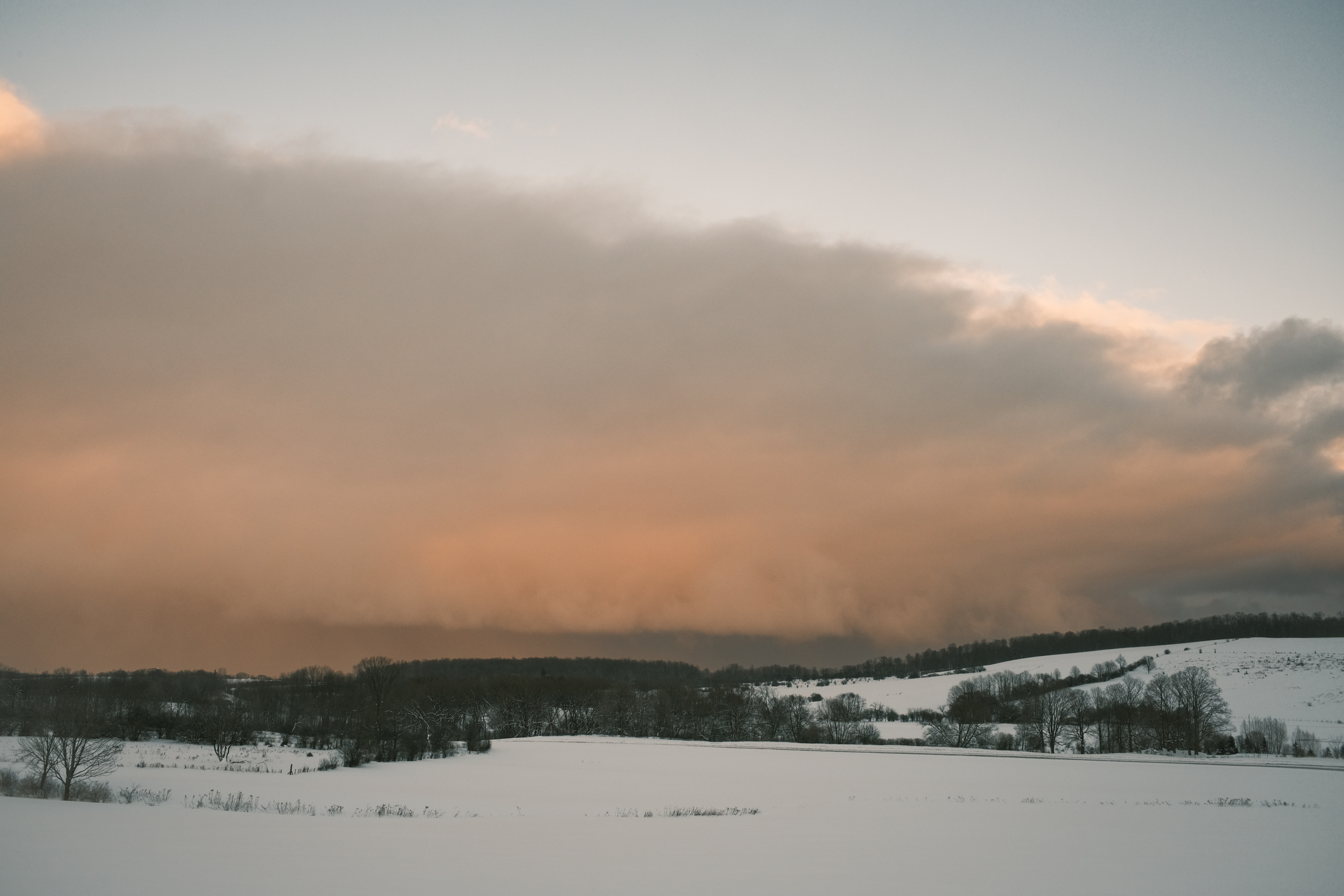 Capturing the Beauty of Late Afternoon Light