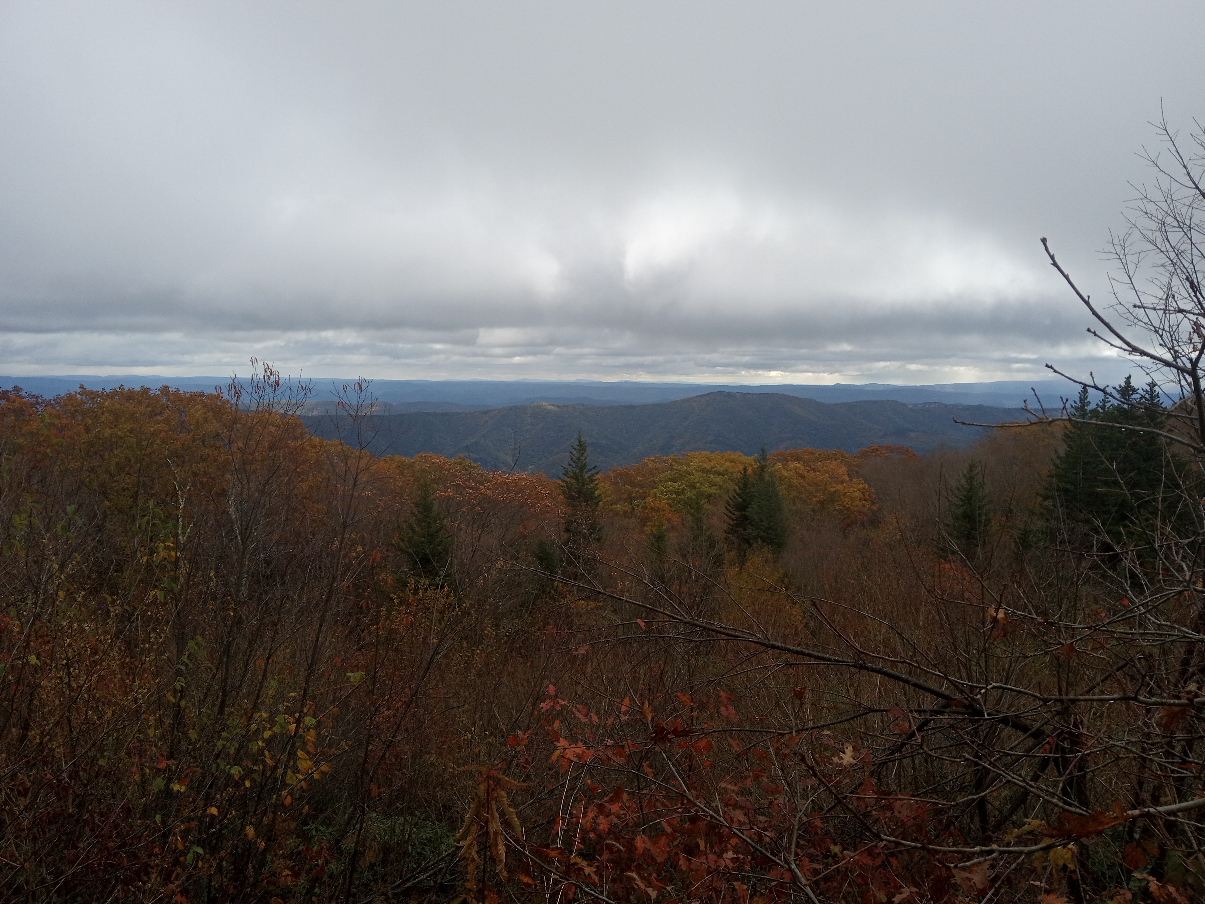 Unwind in the Scenic Dolly Sods Wilderness Area Cabins, WV on October 16, 2024