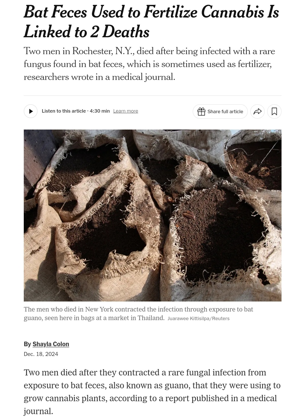 Tragic Outcomes: Bat Feces and Its Shocking Connection to Cannabis Deaths