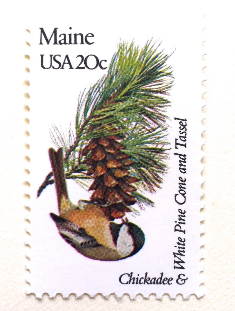 Hurry! Share Your Pinecone Pics While Team Acorn is Distracted by Christmas Selfies!