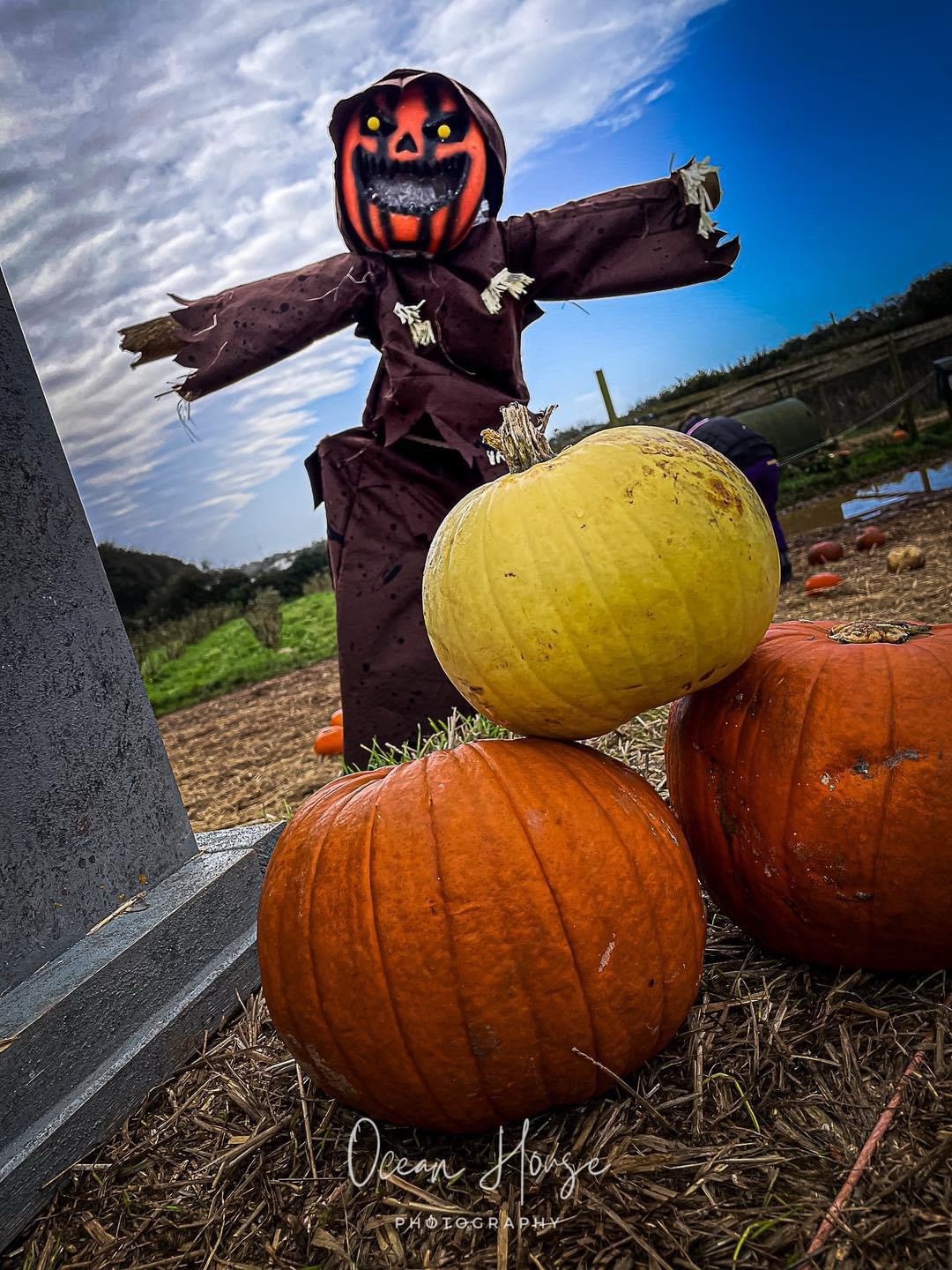 Getting into the Halloween spirit!
