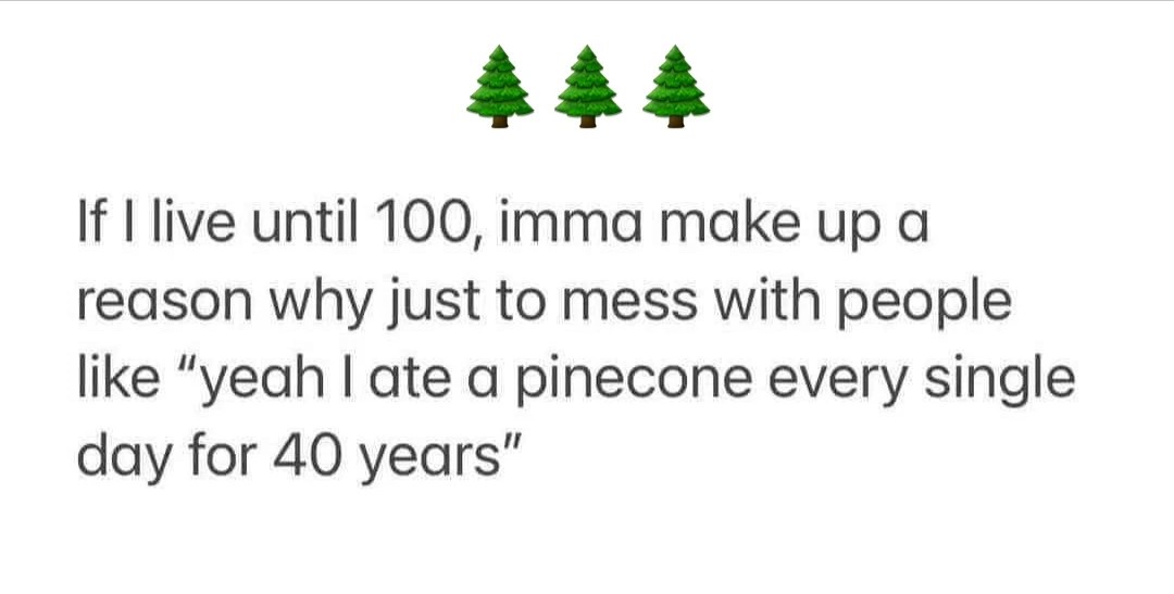 A daily dose of pinecones keeps the boredom away...