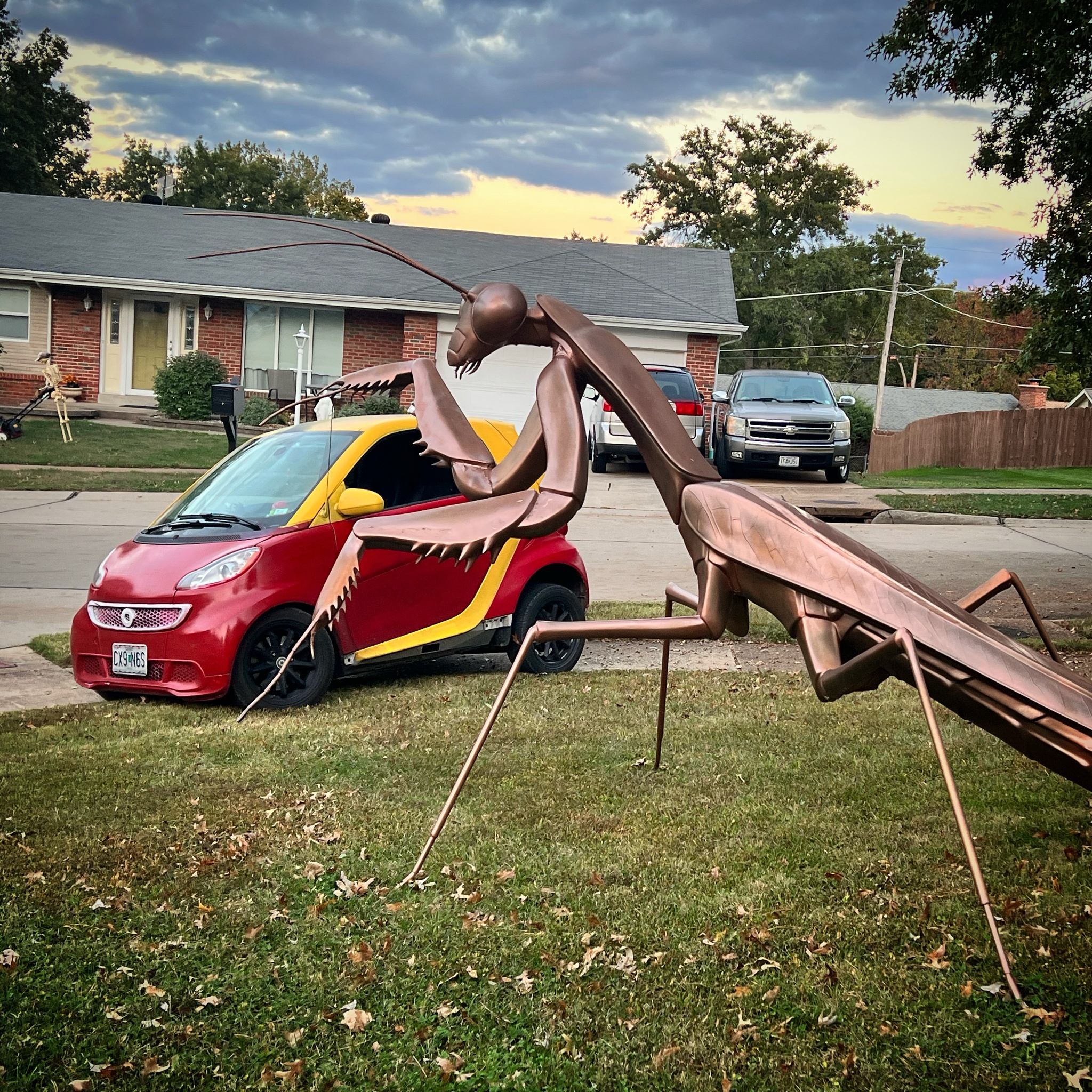My adorable little ride