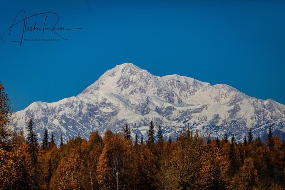 Exploring the Wonders of Alaska