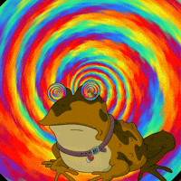 Forget the election, let's just upvote Hypno-toad instead!
