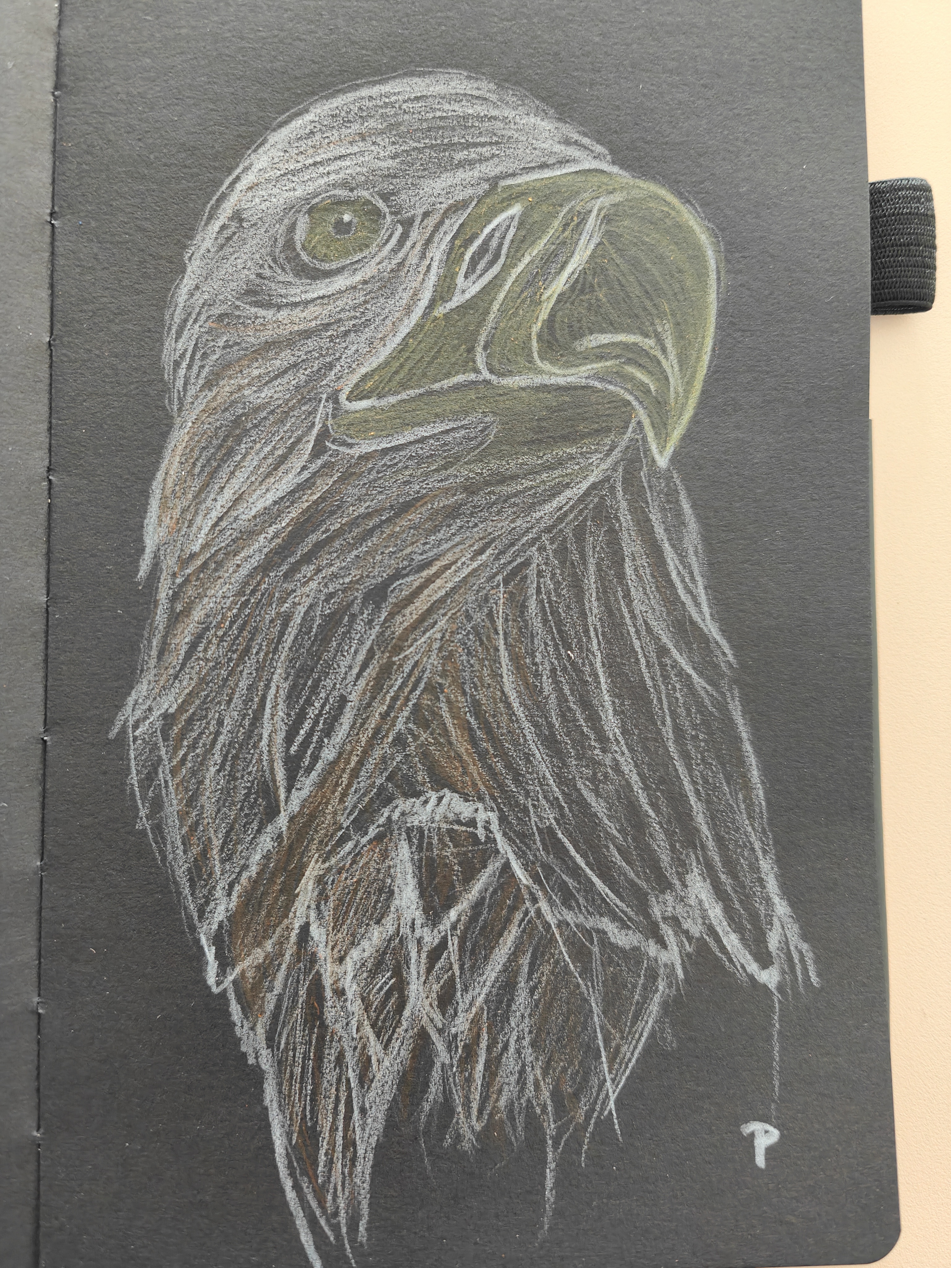 Majestic Eagle in Flight